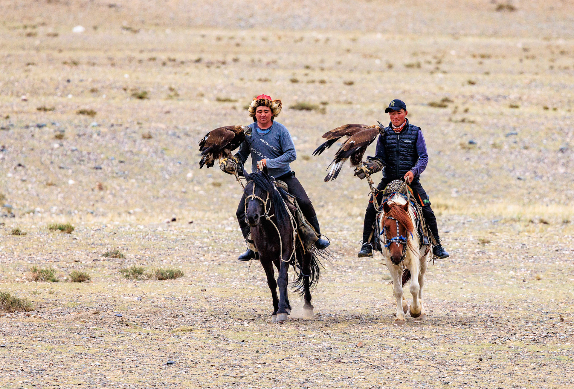 Here come the Golden eagles for us to photograph