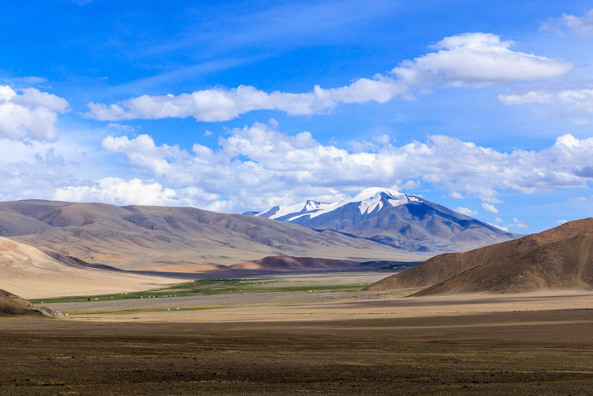 Gants Modnii Zuslian (SingleTree) area, Bayan-ölgiy Aimag (Province), Altantsögts Sum (District), Mongölia. Tsast Uul & Tsambagarav Uul in distance