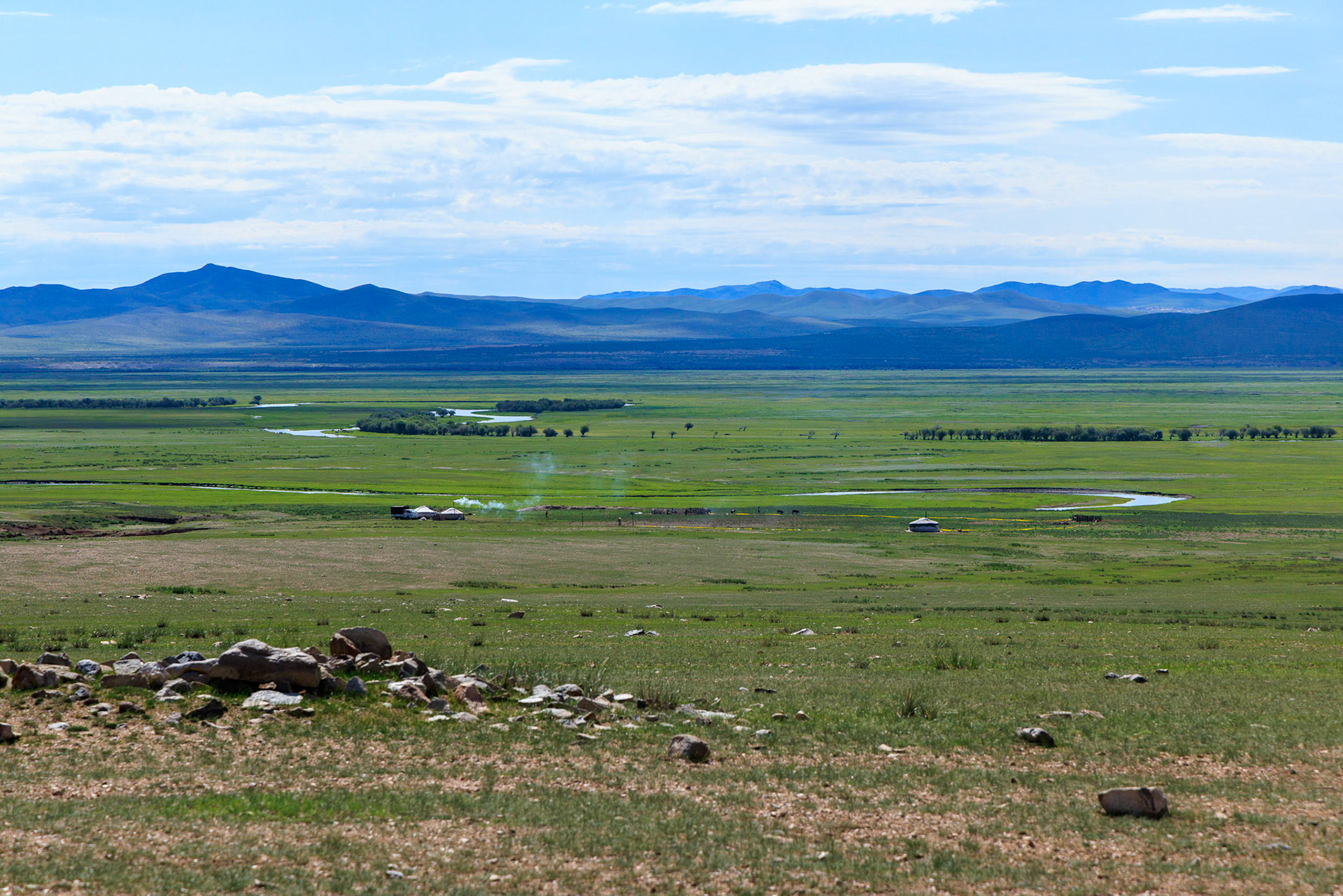 We are now in the Hustai area, much greener here