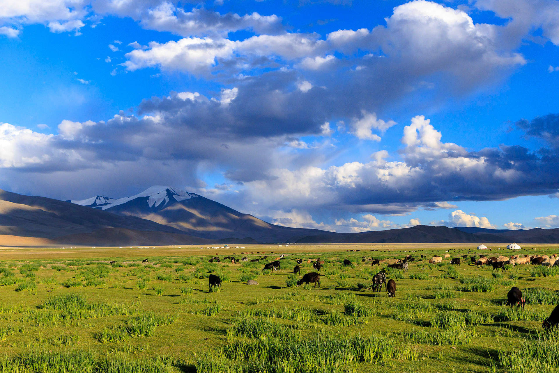 Tsast Uul and Tsambagarav Uul (mountains) in the distanace