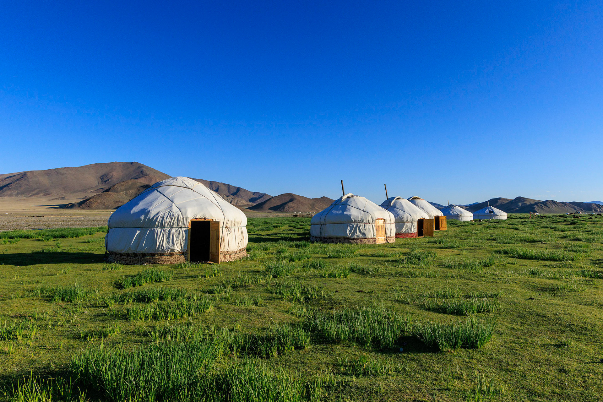Guest Mongolian GER accomodations. Yurt is a Russian term.