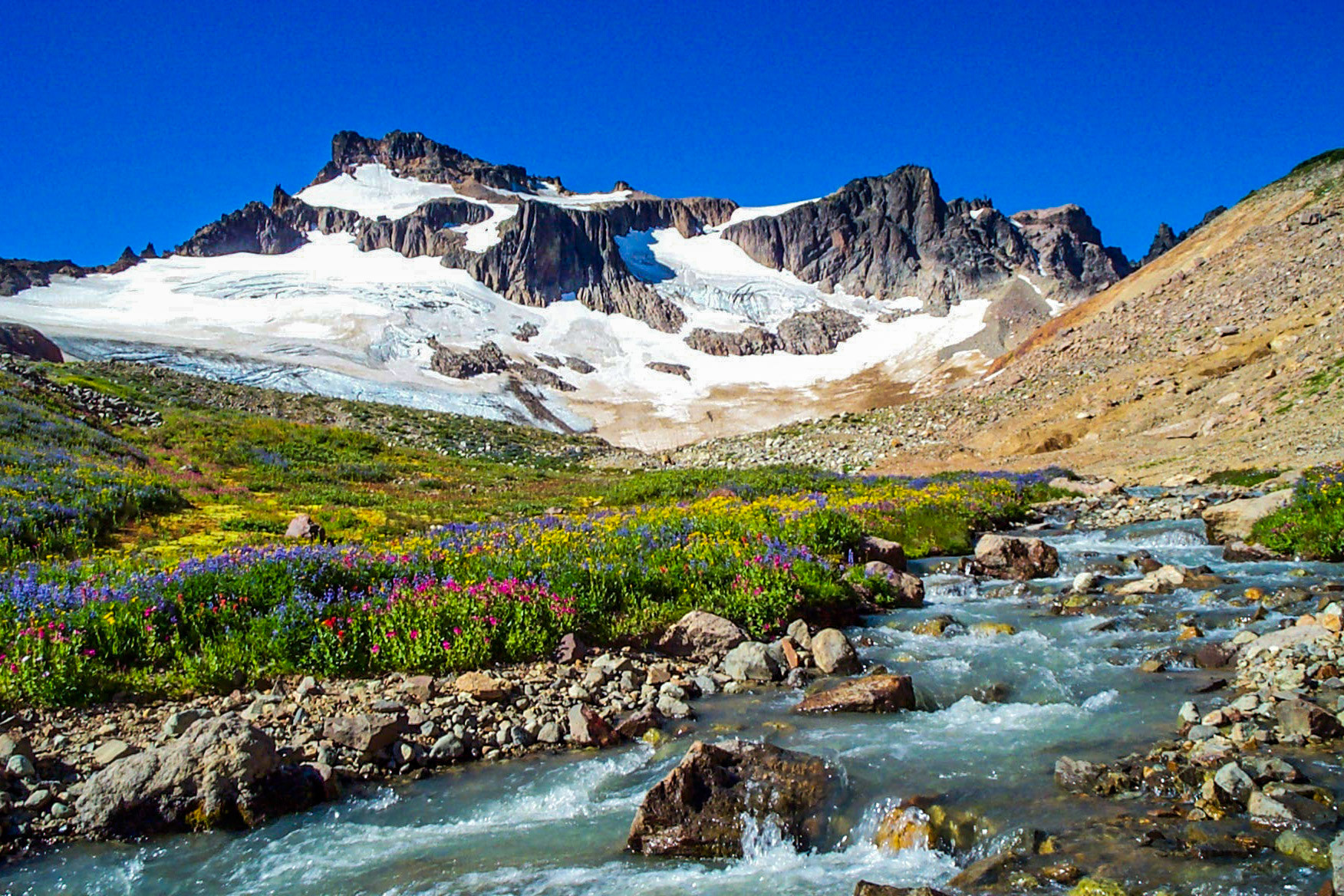 Conrad Glacier &amp; Conrad Creek head waters under Gilbert Peak and the Goat Rocks in meadow full of wild flowers in bloom, Goat Rock Wilderness, Washington State