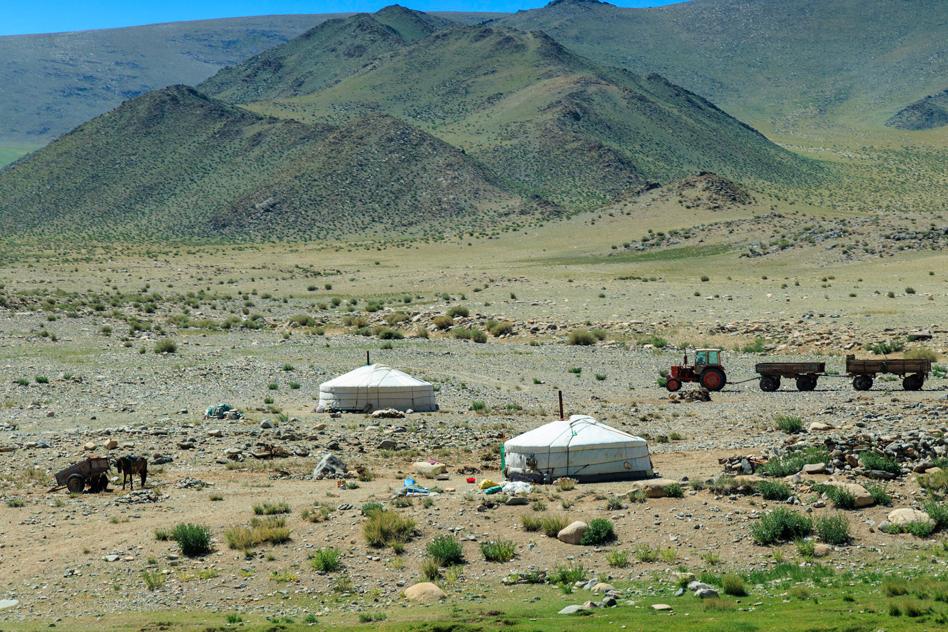 Ger, the home of the nomadic Mongolians. Over 30% on Mongolians are nomads.