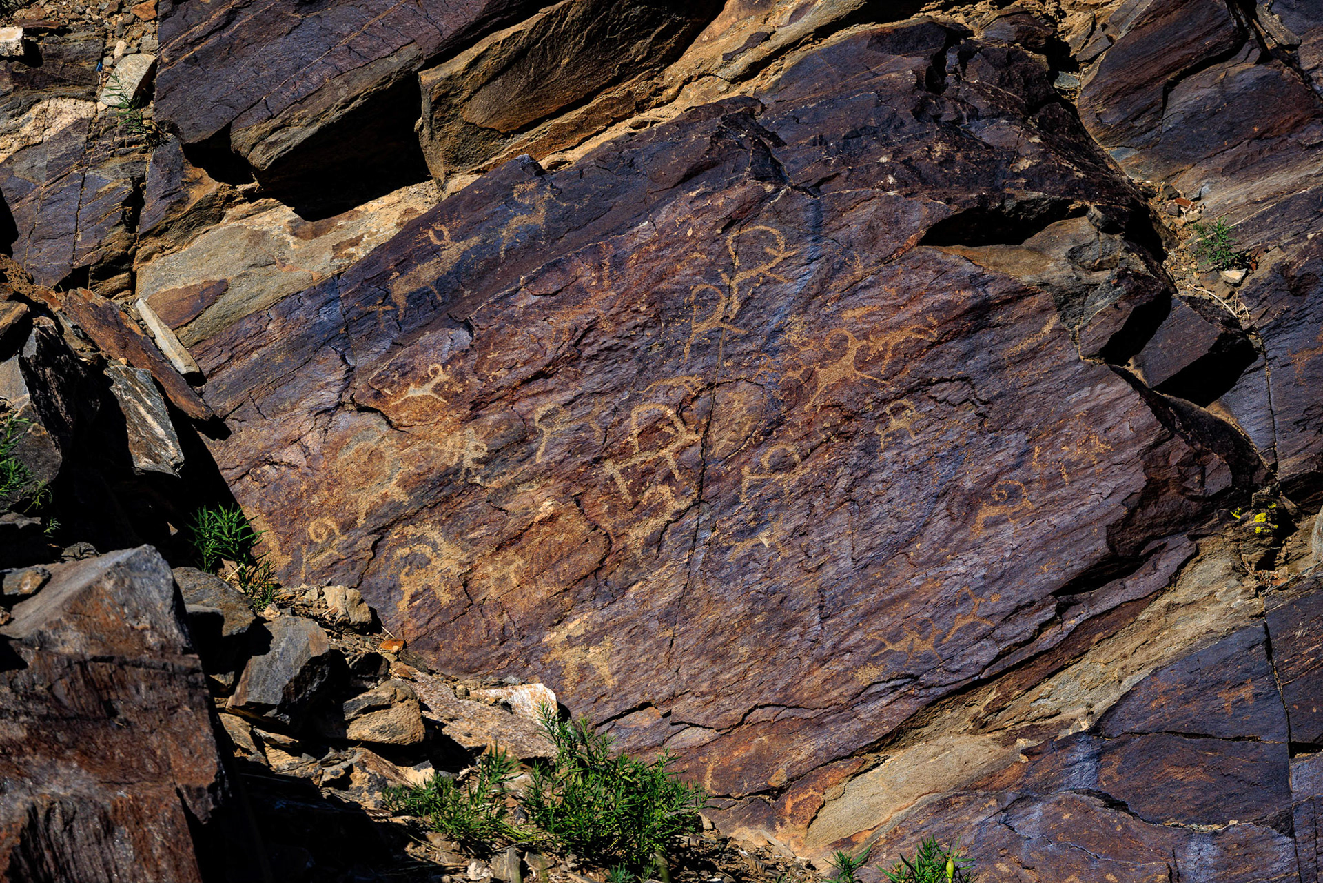  Khoit Tsenkher petroglyphs in Mankhan sum, Khovd Aimag, Mongolia