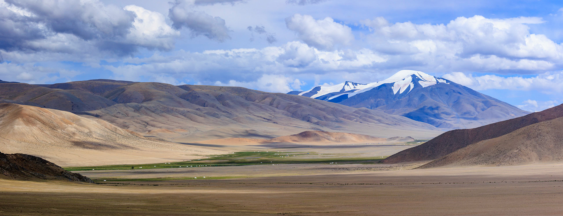  Gants Modnii Zuslian (SingleTree) area, Bayan-ölgiy Aimag (Province), Altantsögts Sum (District), Mongölia. Tsast Uul & Tsambagarav Uul in distance
