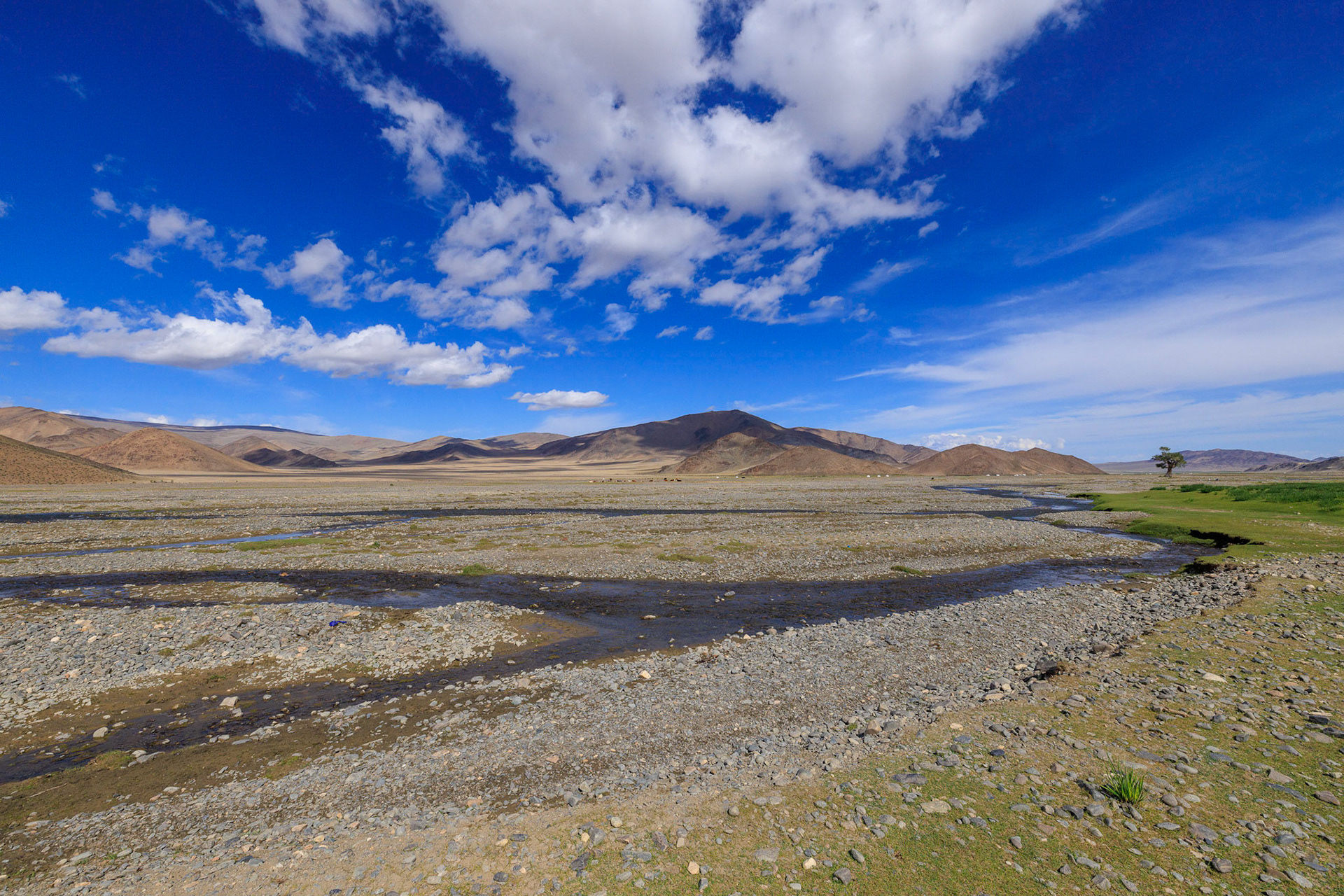  Gants Modnii Zuslian (Single Tree) area, Bayan-ölgiy Aimag (Province), Altantsogts Sum (District), Mongolia