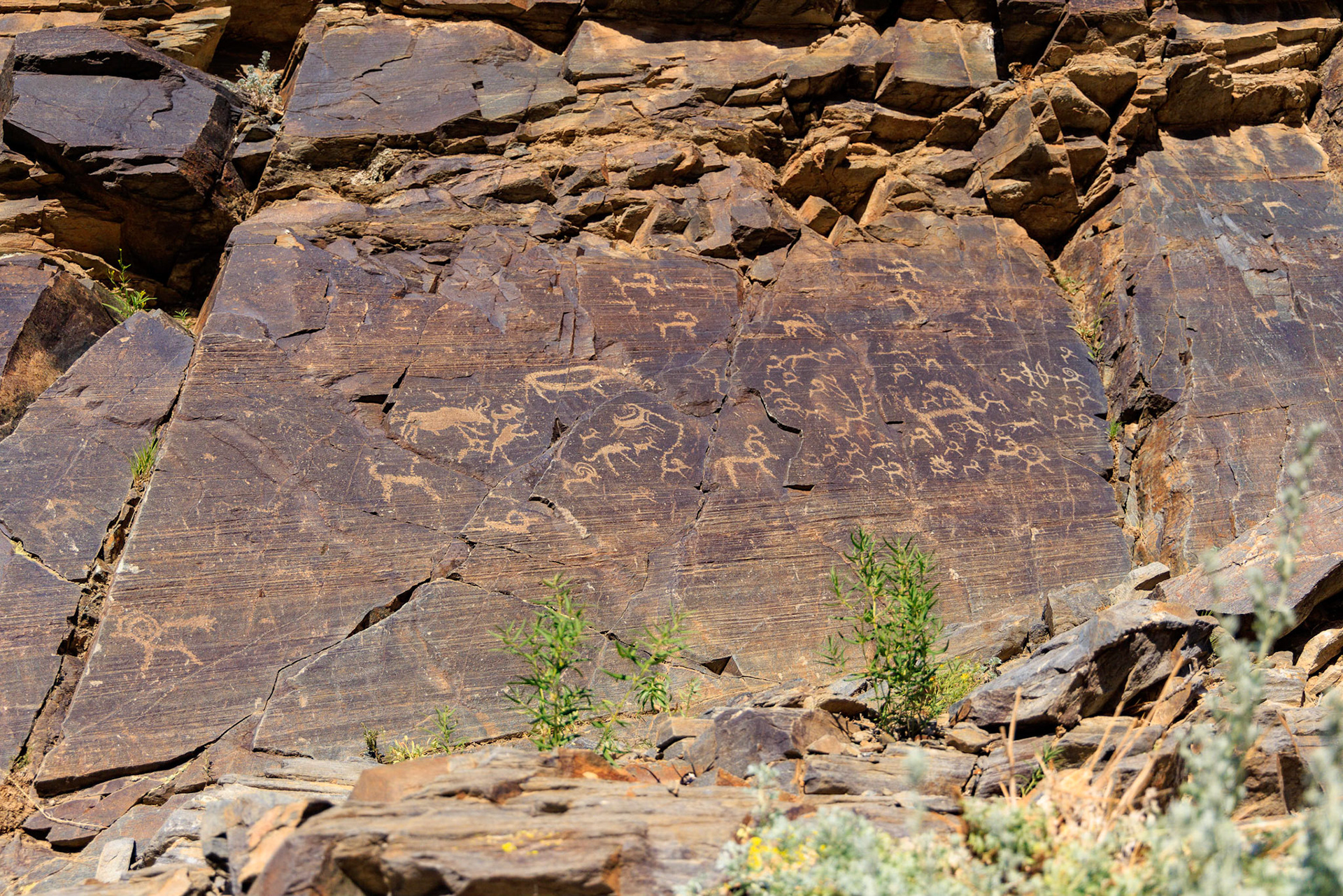  Khoit Tsenkher petroglyphs in Mankhan sum, Khovd Aimag, Mongolia