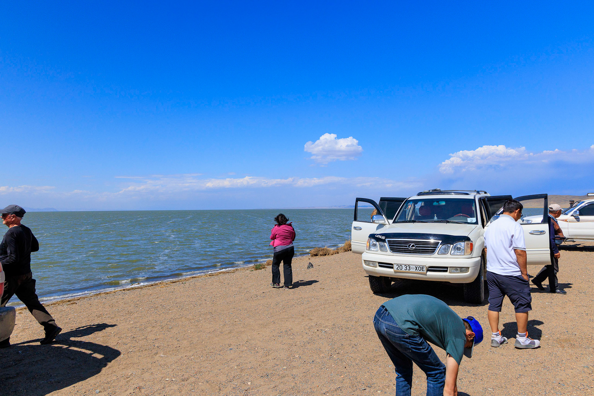 On the shore of Khar-us Nuur Lake)