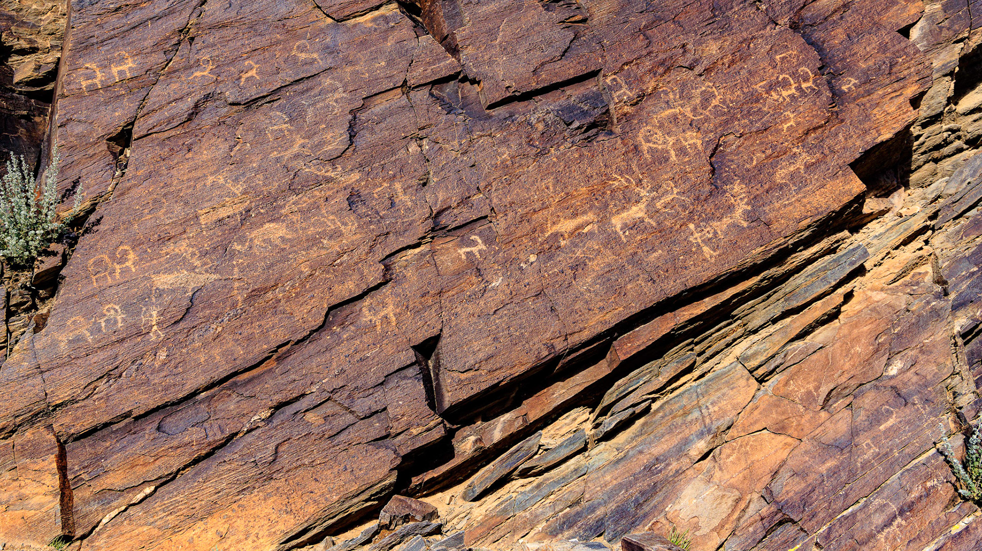  Khoit Tsenkher petroglyphs in Mankhan sum, Khovd Aimag, Mongolia