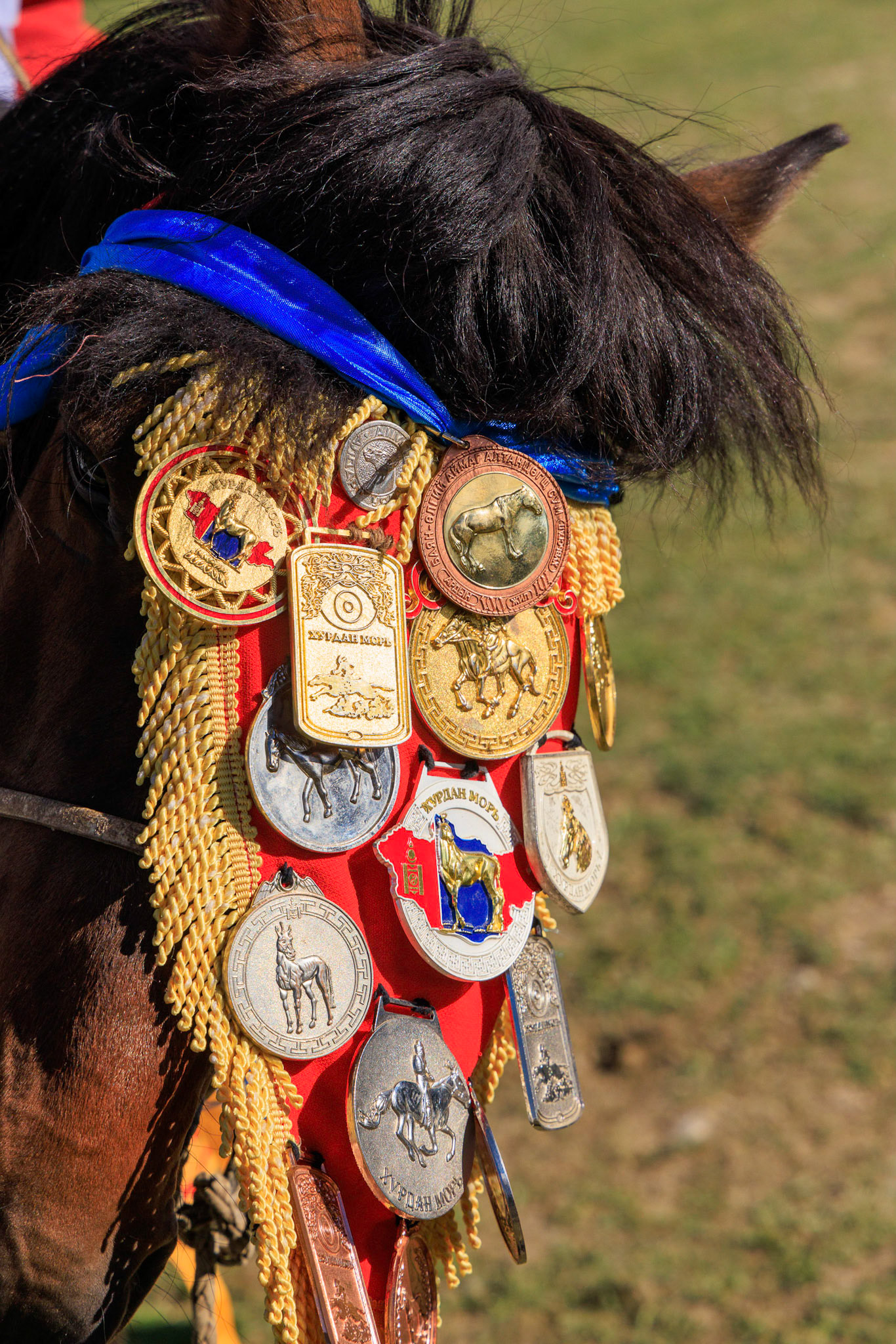 Awards like this add to the value of the horse