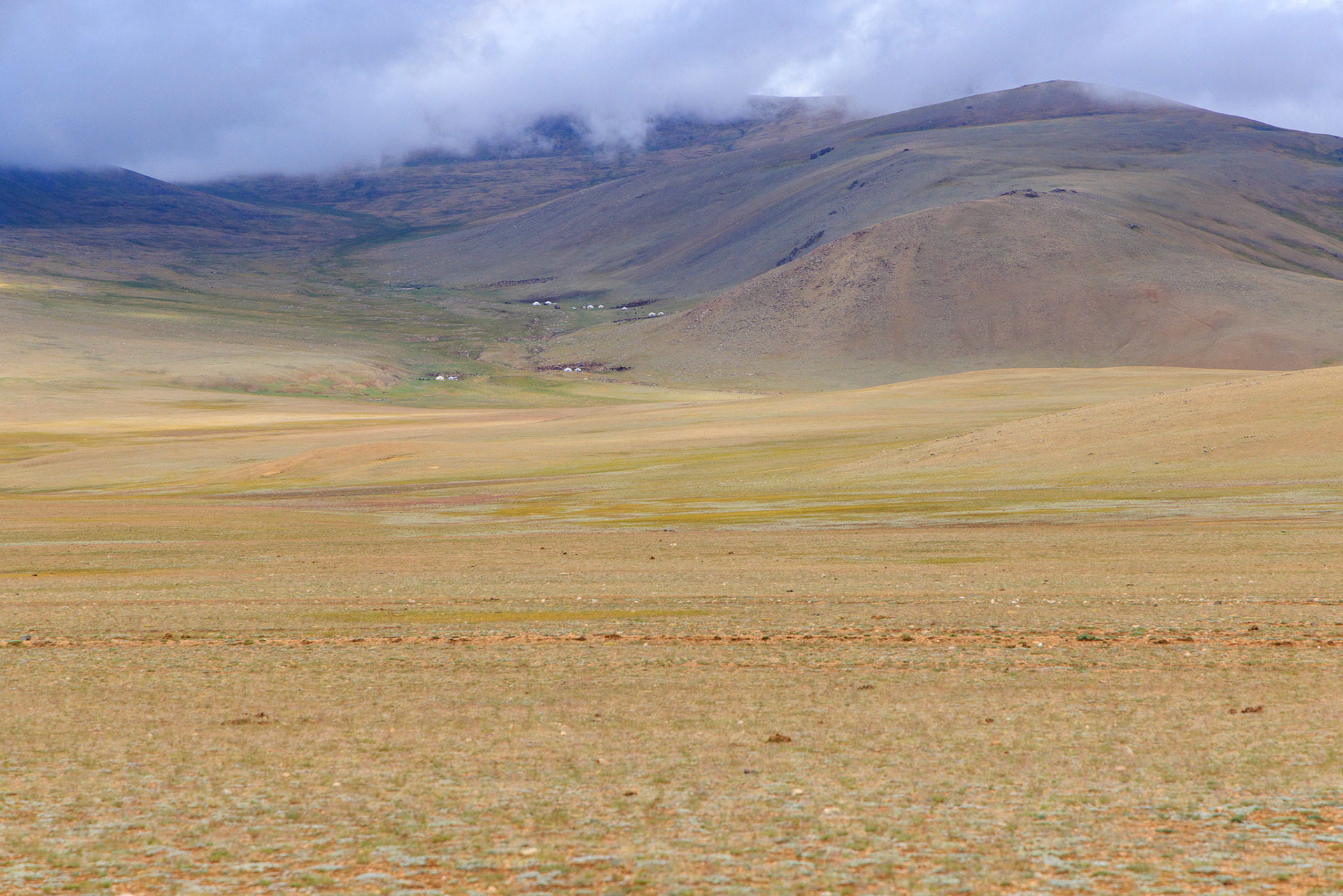Ger encampments in the distance, no trees and very little vegetation