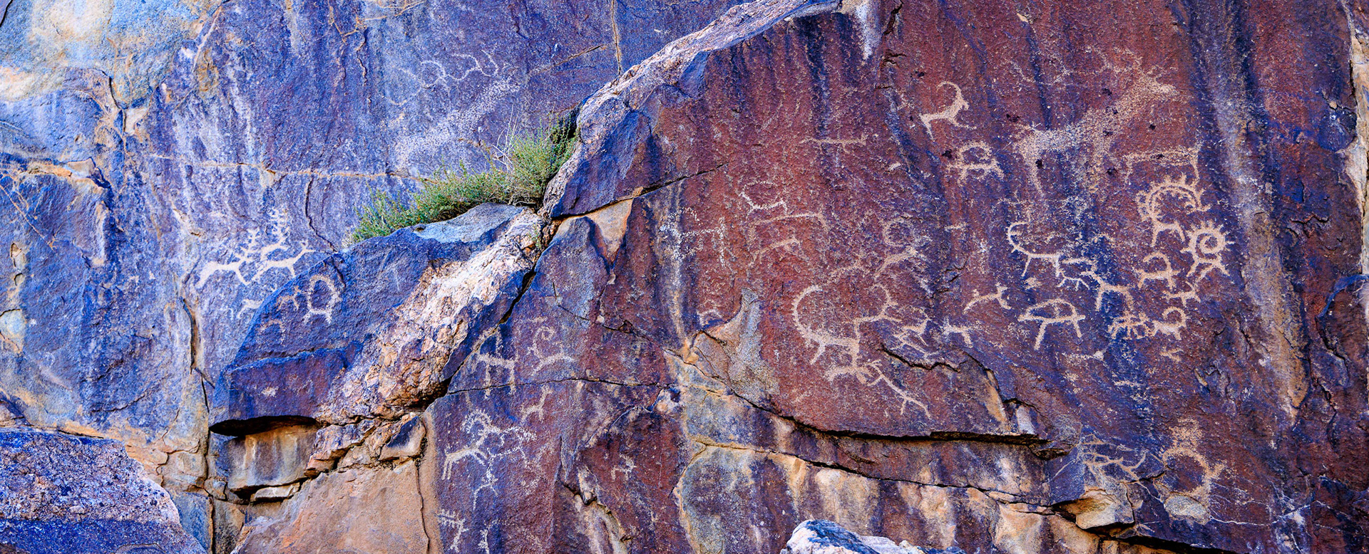  Khoit Tsenkher petroglyphs in Mankhan sum, Khovd Aimag, Mongolia