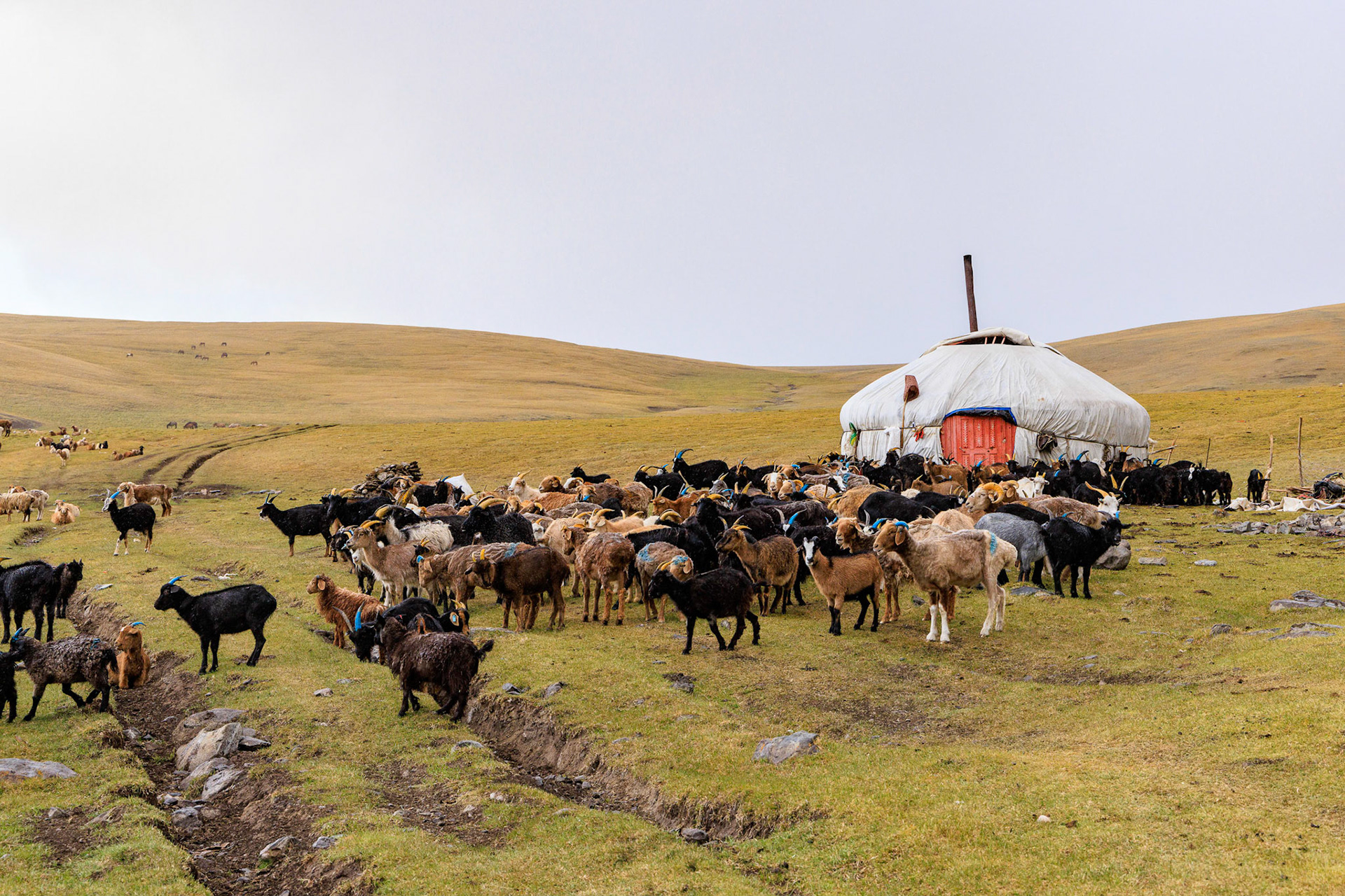 This is really off the grid, no water, no electricity, no internet, no almost everything..