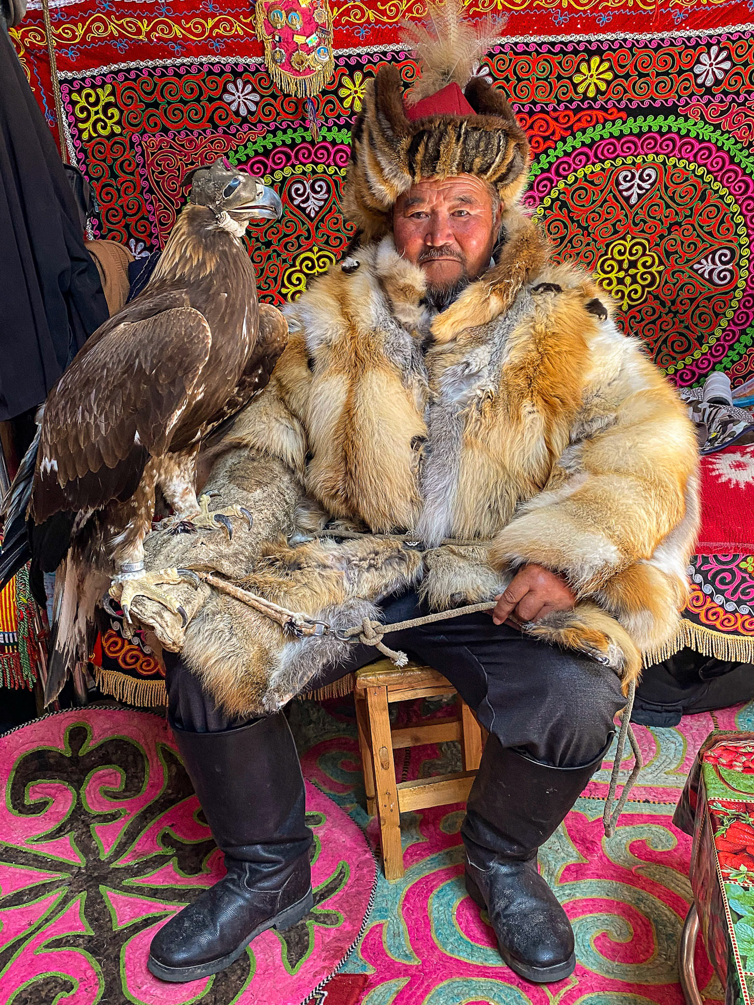 Kazakh Eagle Hunter Sailua, dressed for the hunt,  with his Golden Eagle inside of his Ger