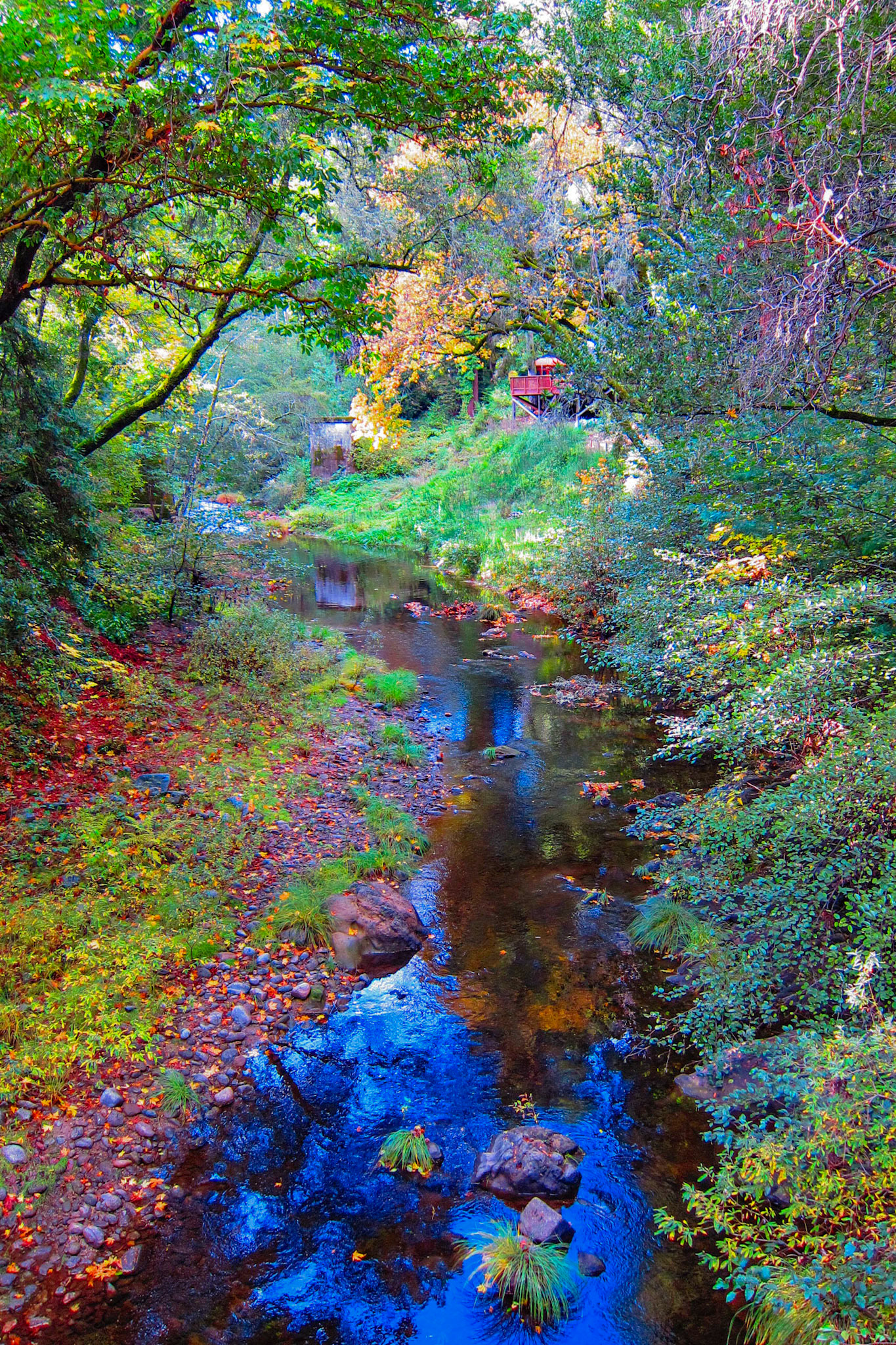Reflections on the San Lorenzo River on a late Fall day.Boulder Creek, ca.