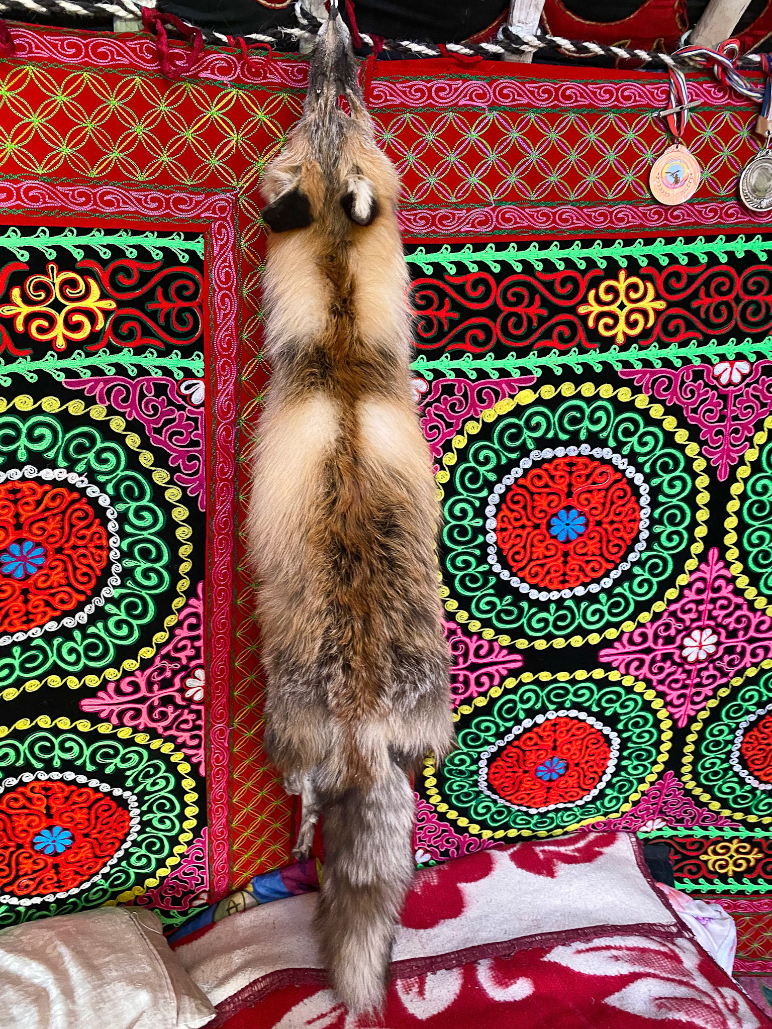 Fox pelt
