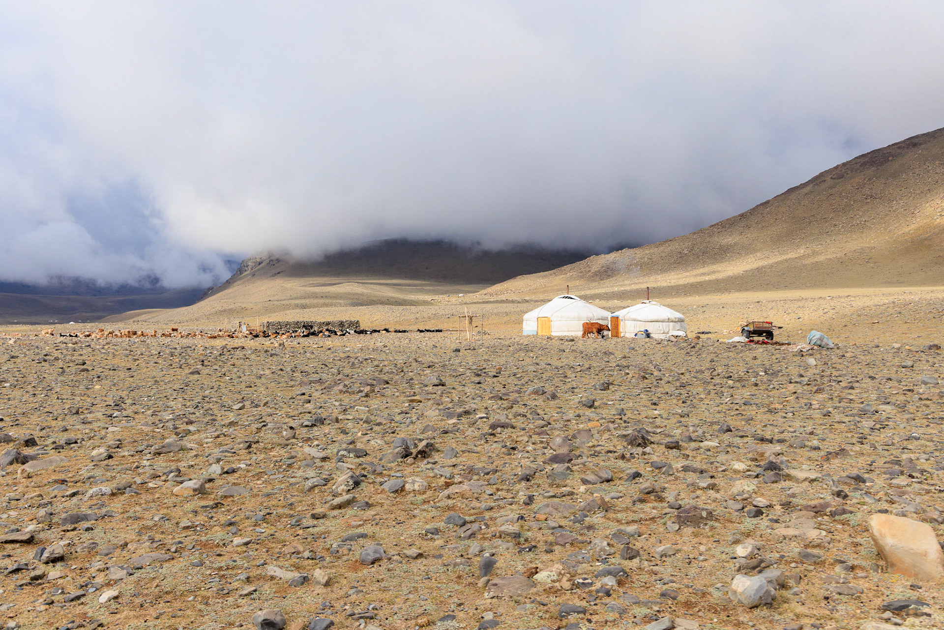 Ger encampments in the distance, no trees and very little vegetation. Not much of a road either
