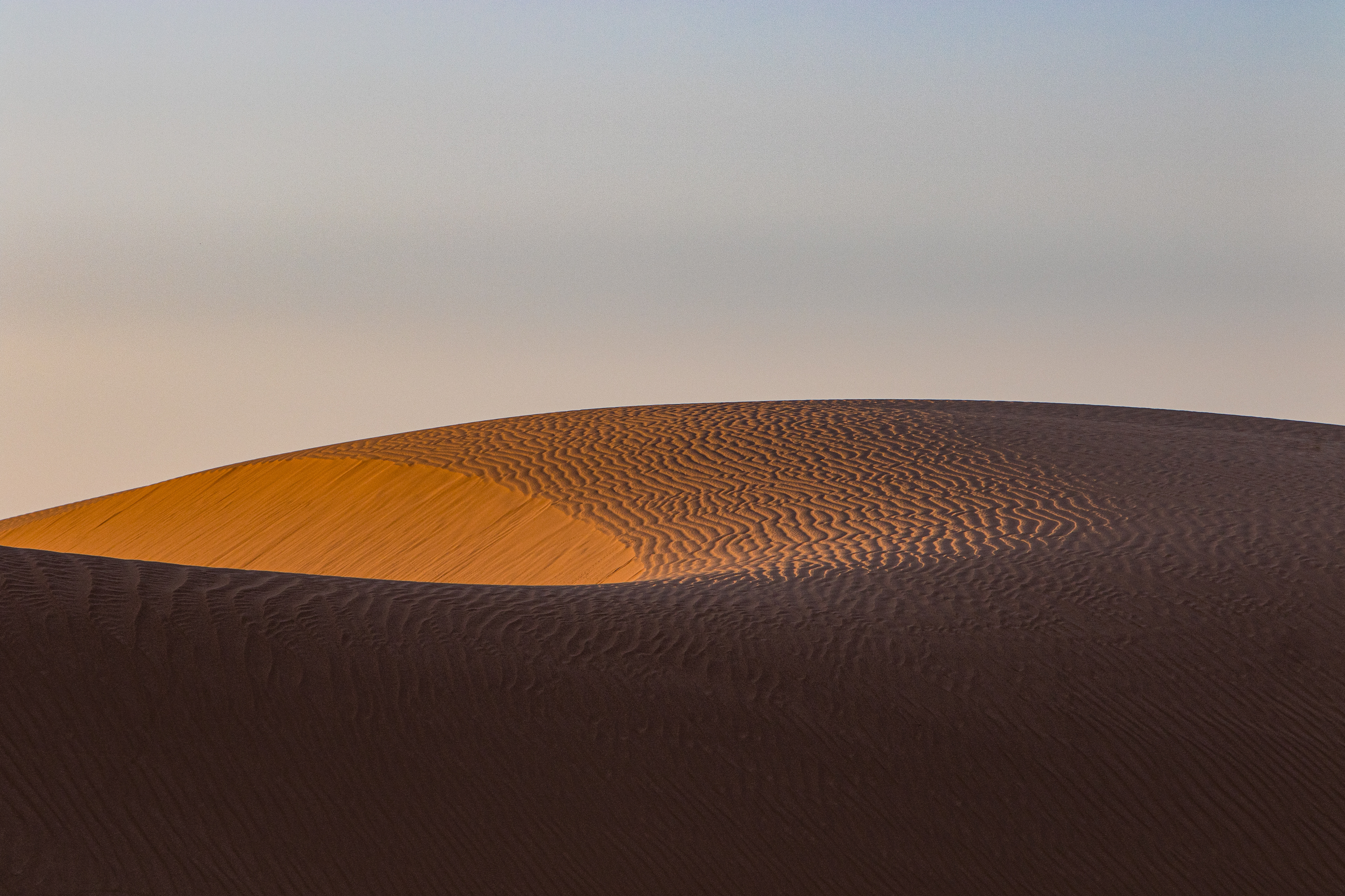 The setting sun hits a dune in the Algodones dunes at just the right angle to show off its stunning ripples.