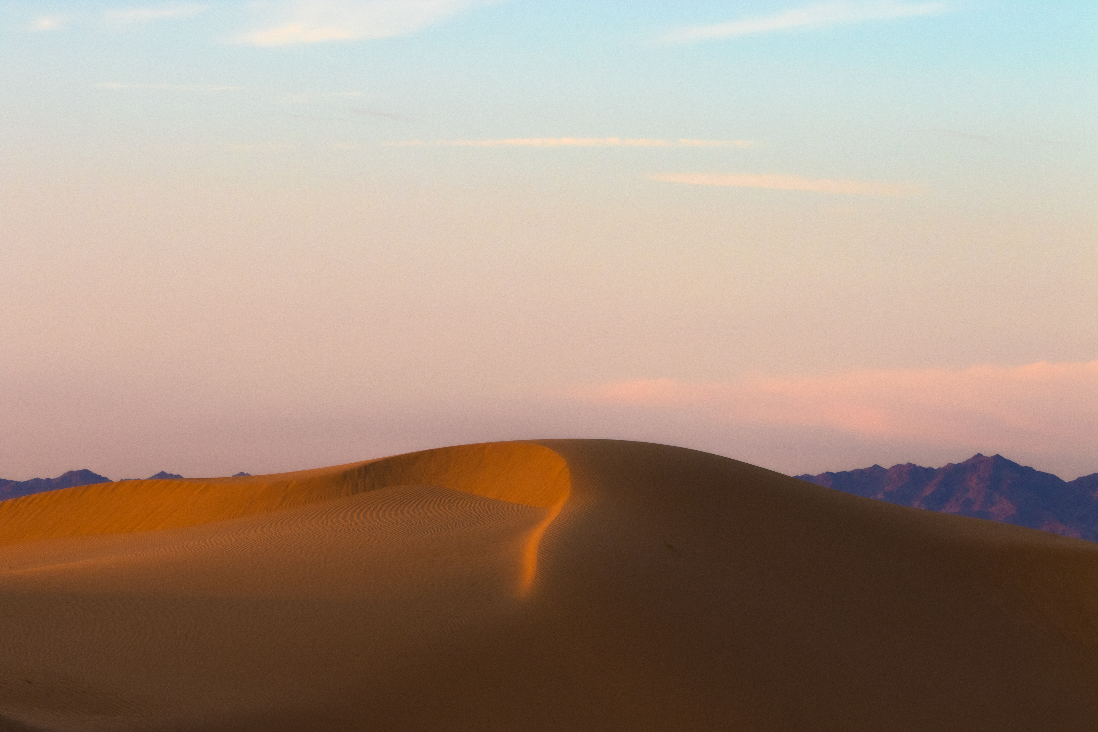 A golden glow is cast on this pristine dune in the Algodones dunes.
