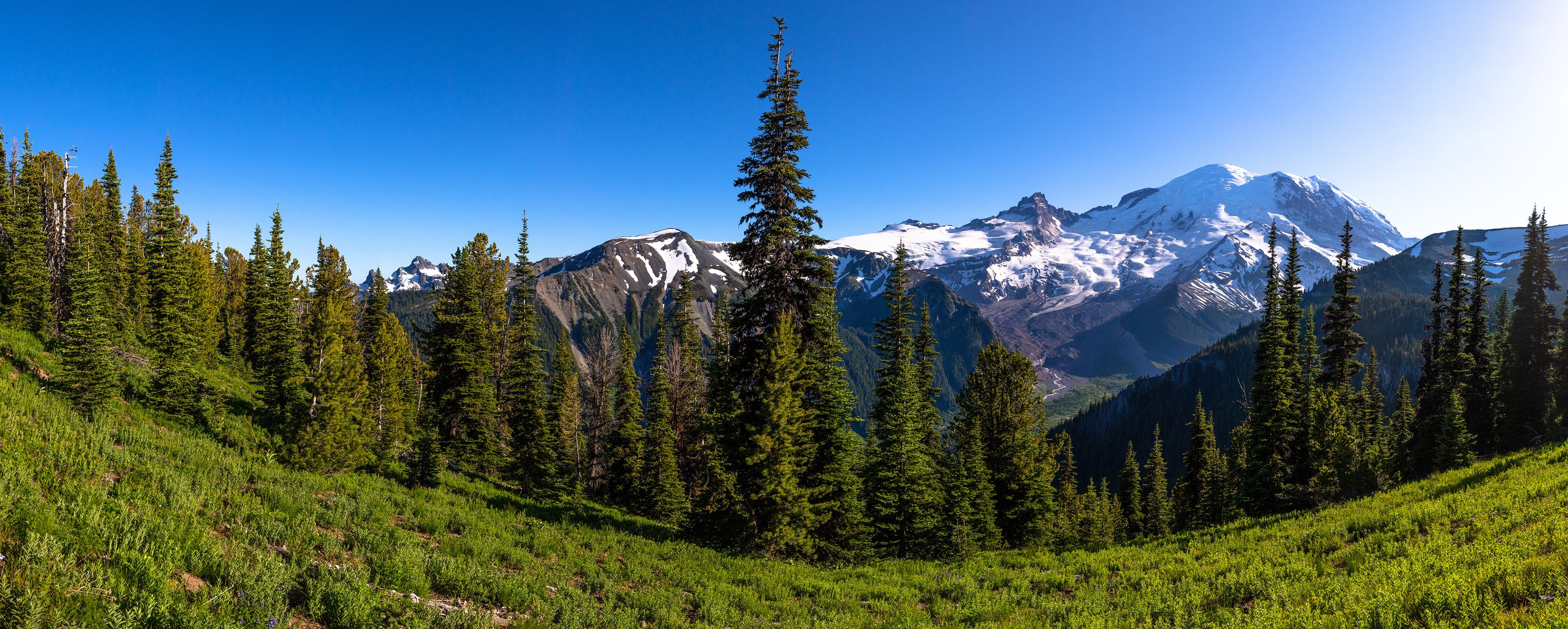 The greenery surrounding Mount Rainier shines on this perfectly clear day.