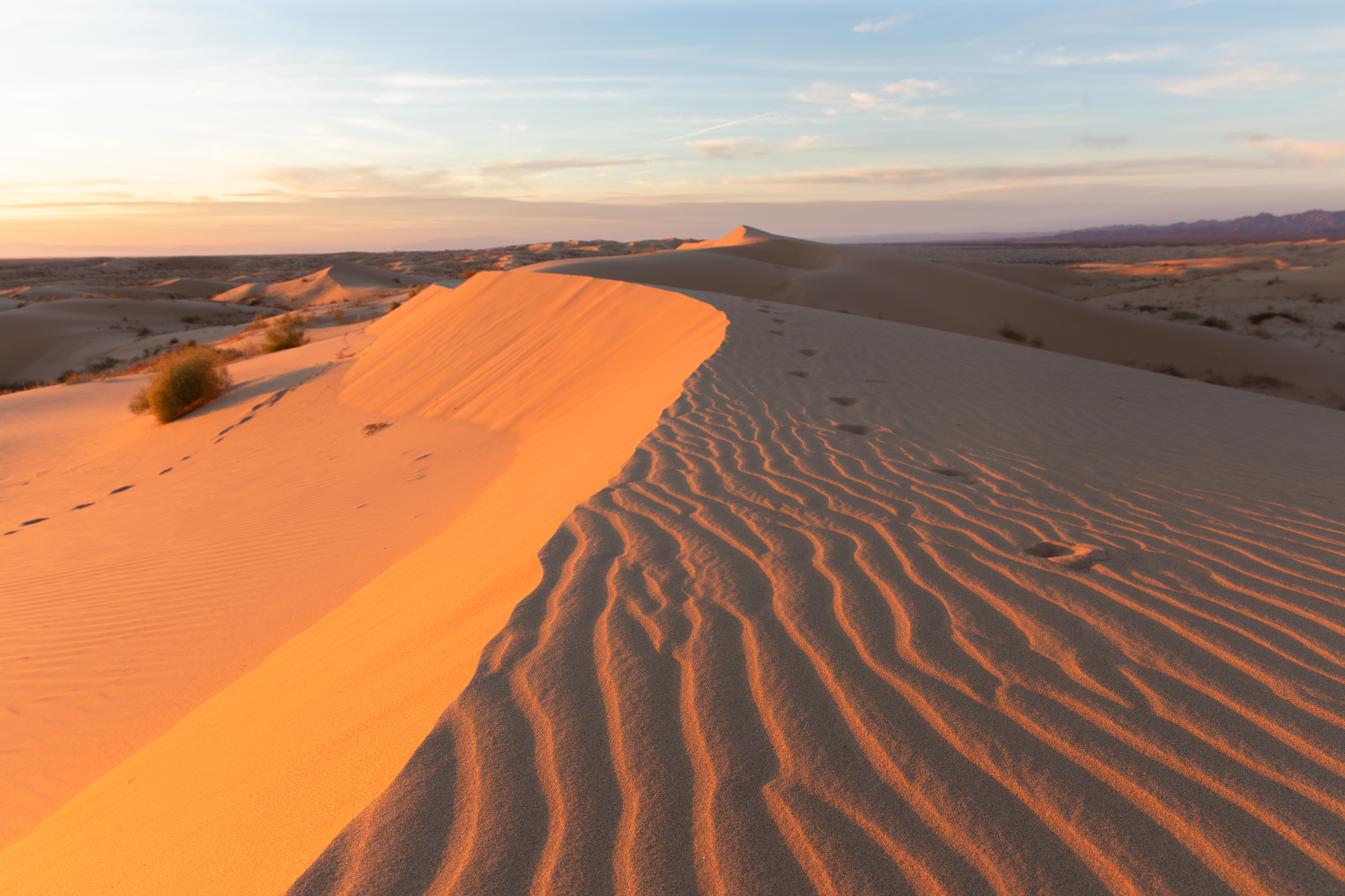 Footseps dot the ridgeline as it snakes into the distance along this dune.
