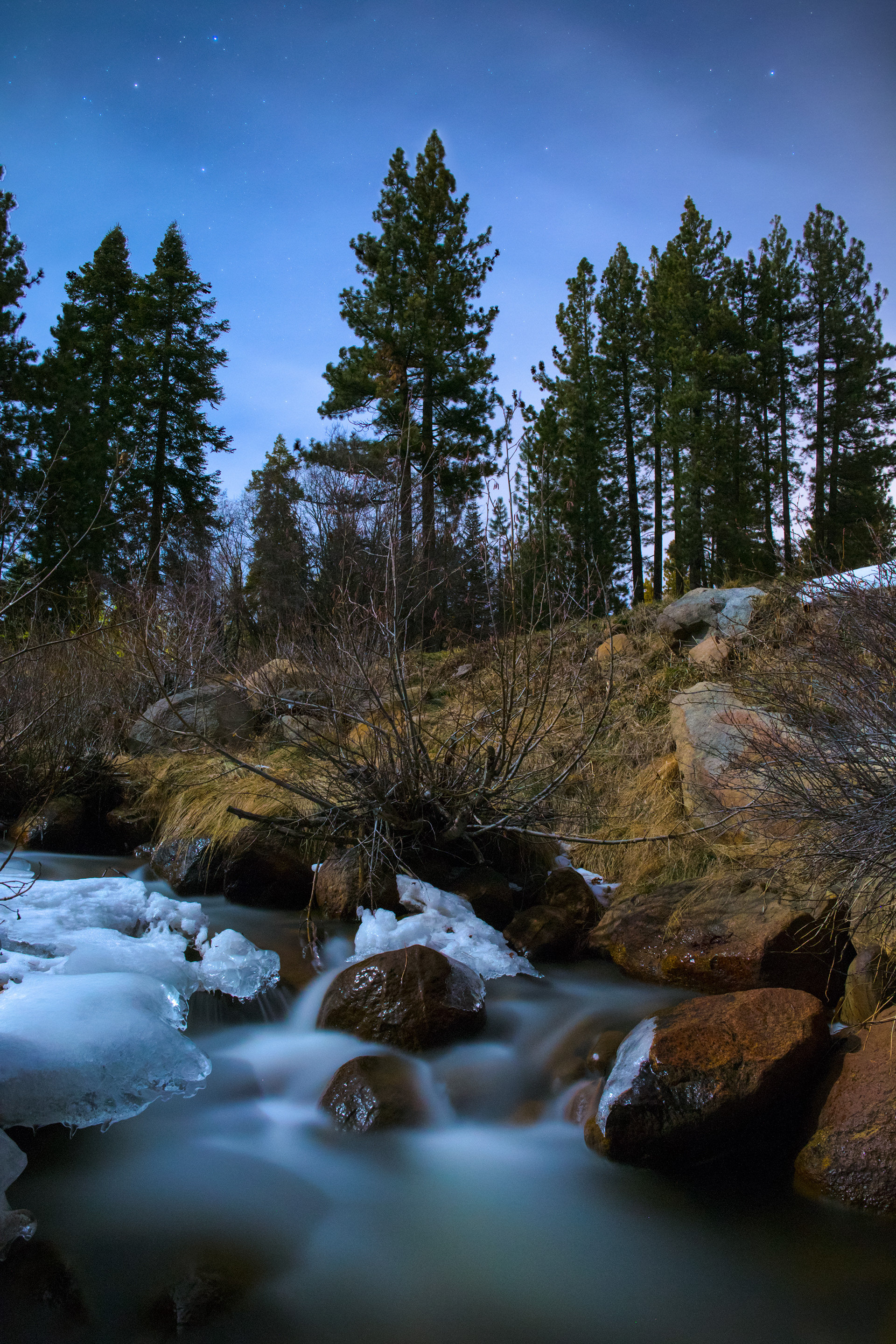 A gentle creek flows through Champion Golf Course in Nevada.