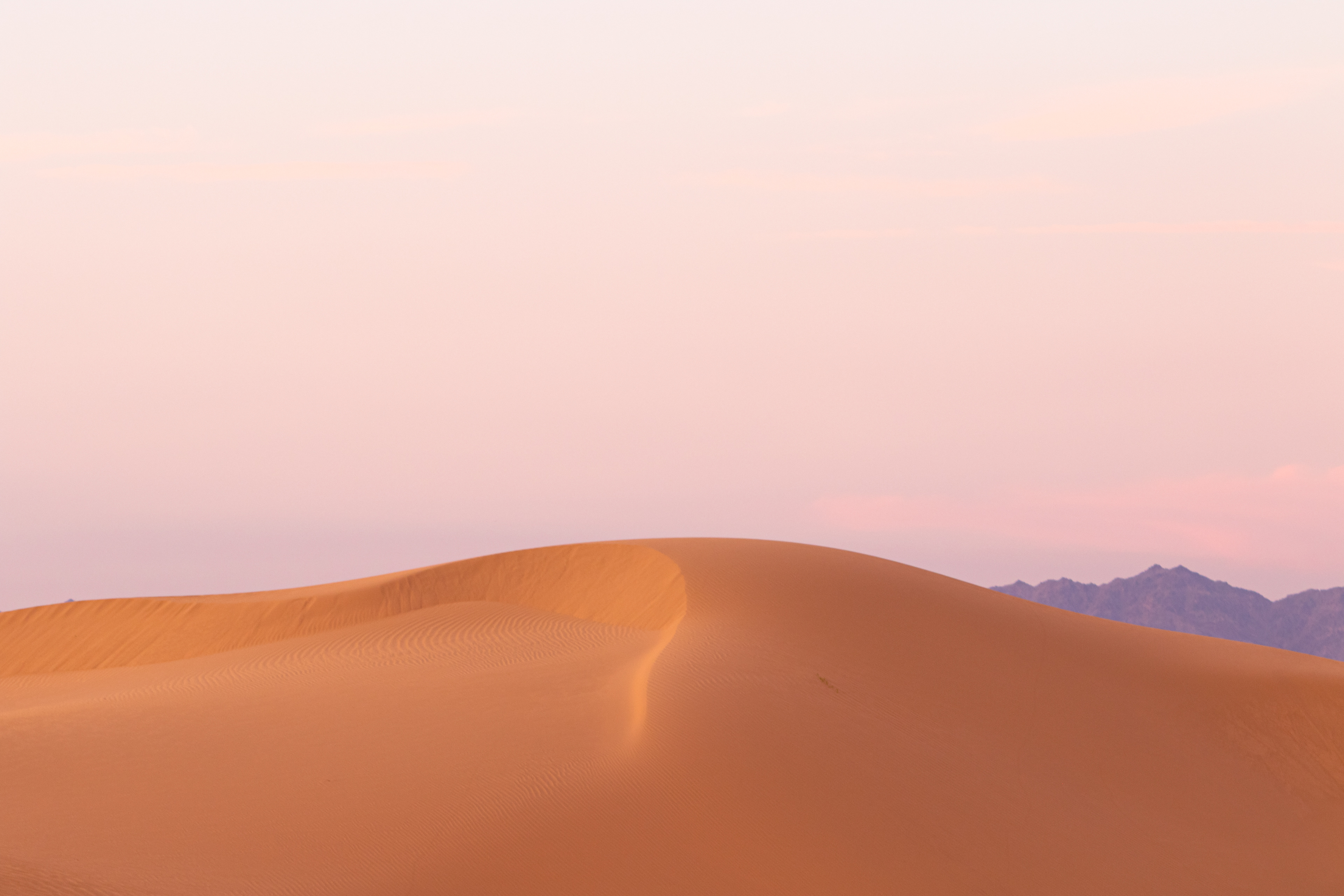 The setting sun provides a gentle glow to an undisturbed dune in the Algodones dune field..