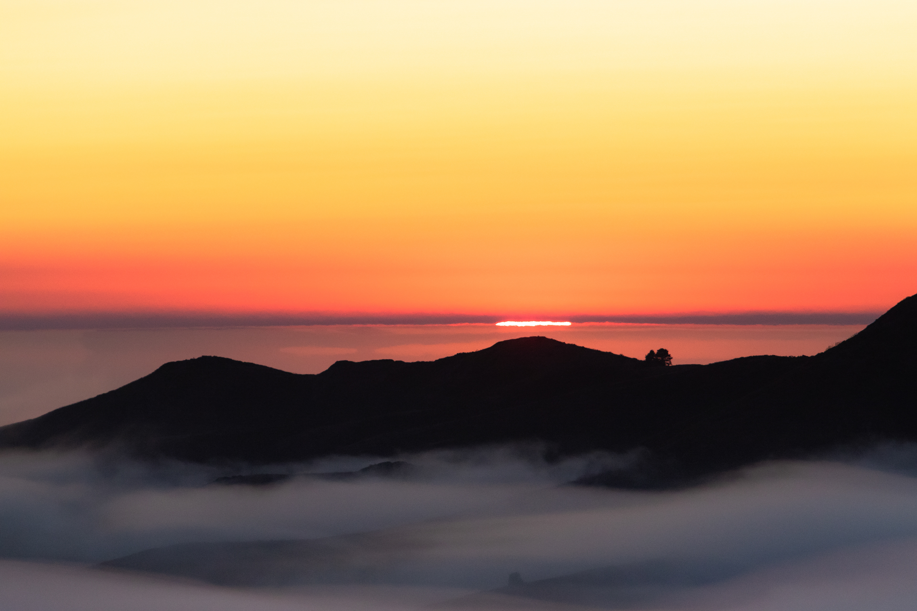 The setting sun provides a halo to this fog-covered hill in the Marin Headlands.