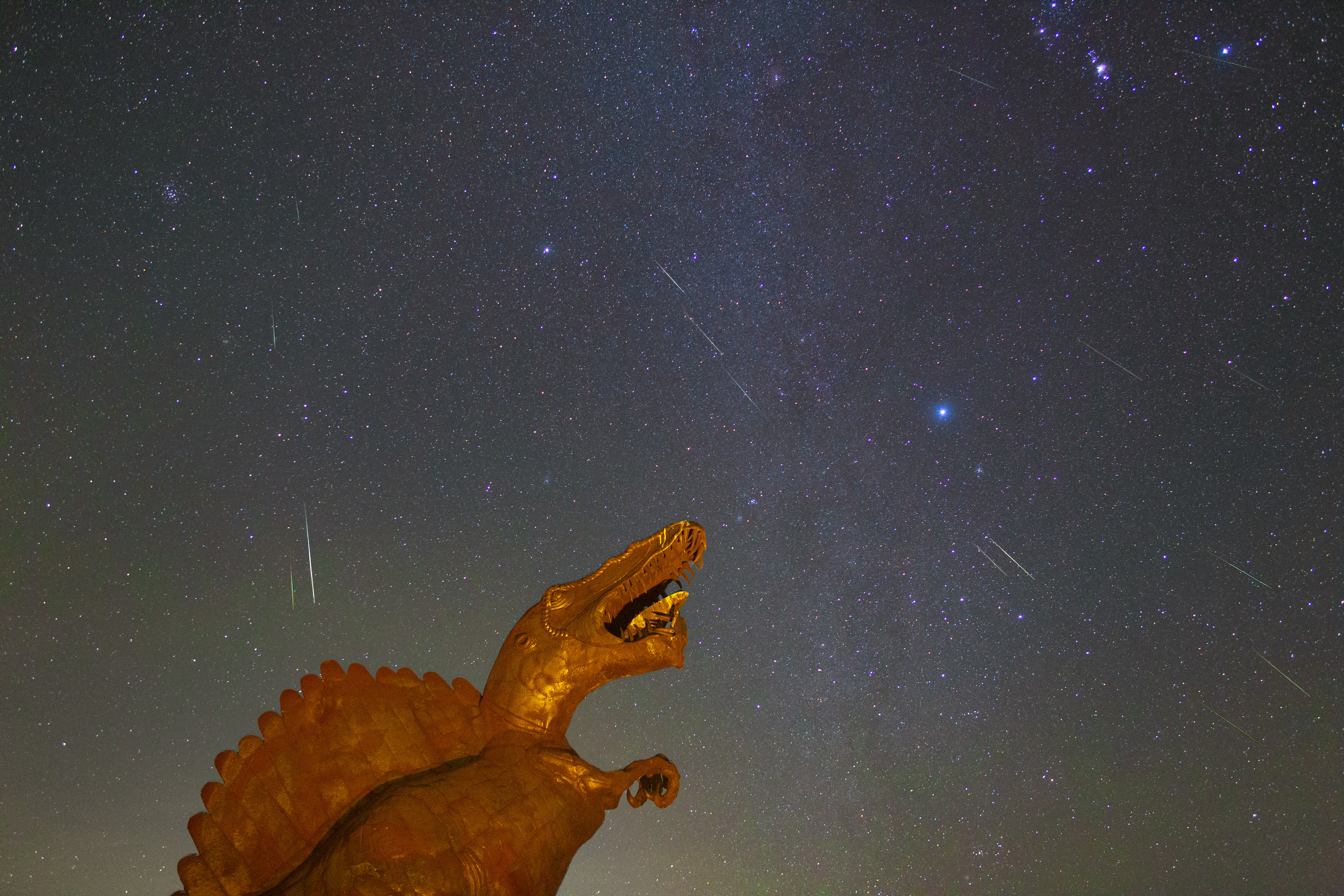 A dinosaur statue sits front row for the 2021 Geminids meteor shower in Borrego Springs, CA.