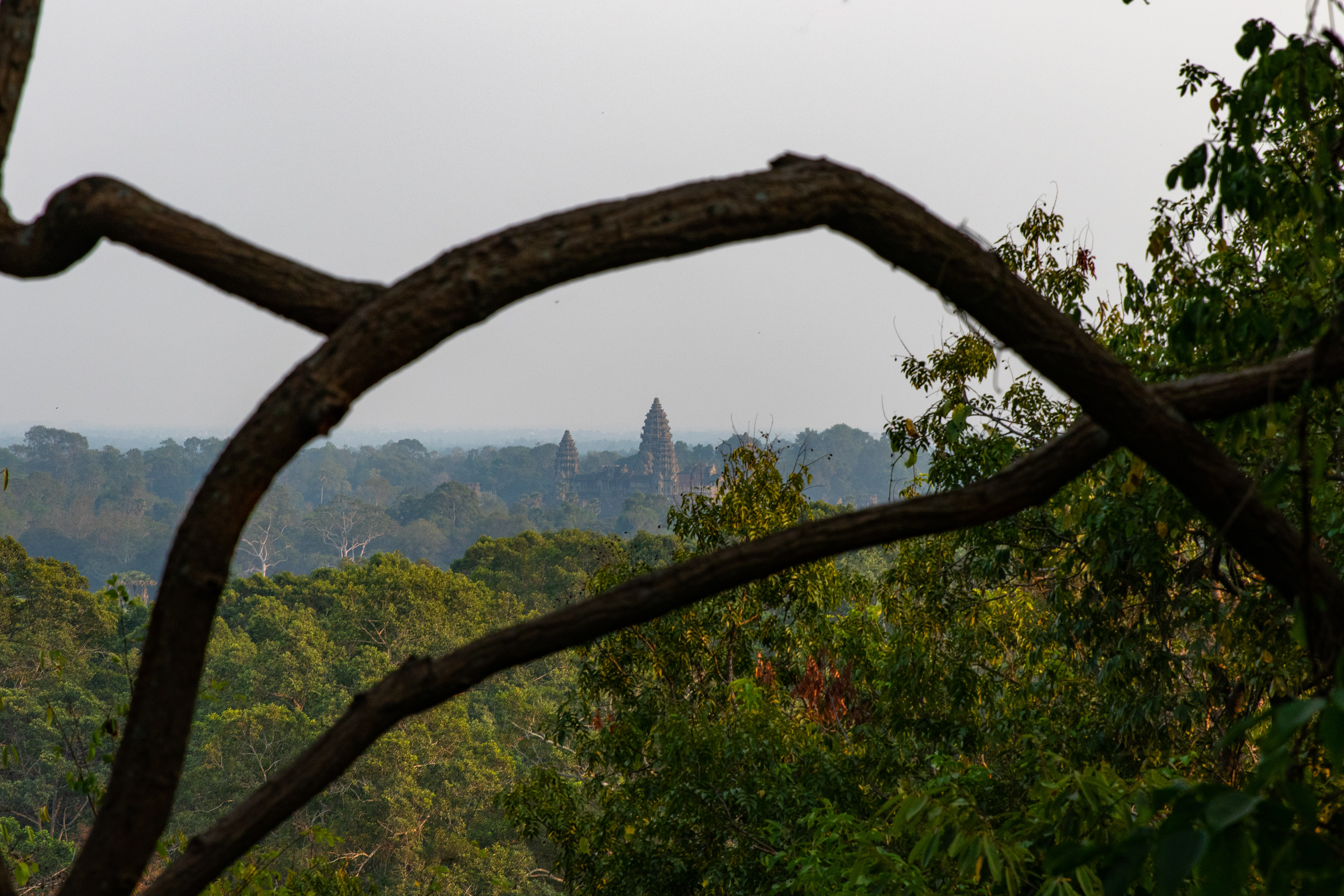 The temple of Angkor Wat is framed through a nearby forest in Cambodia.