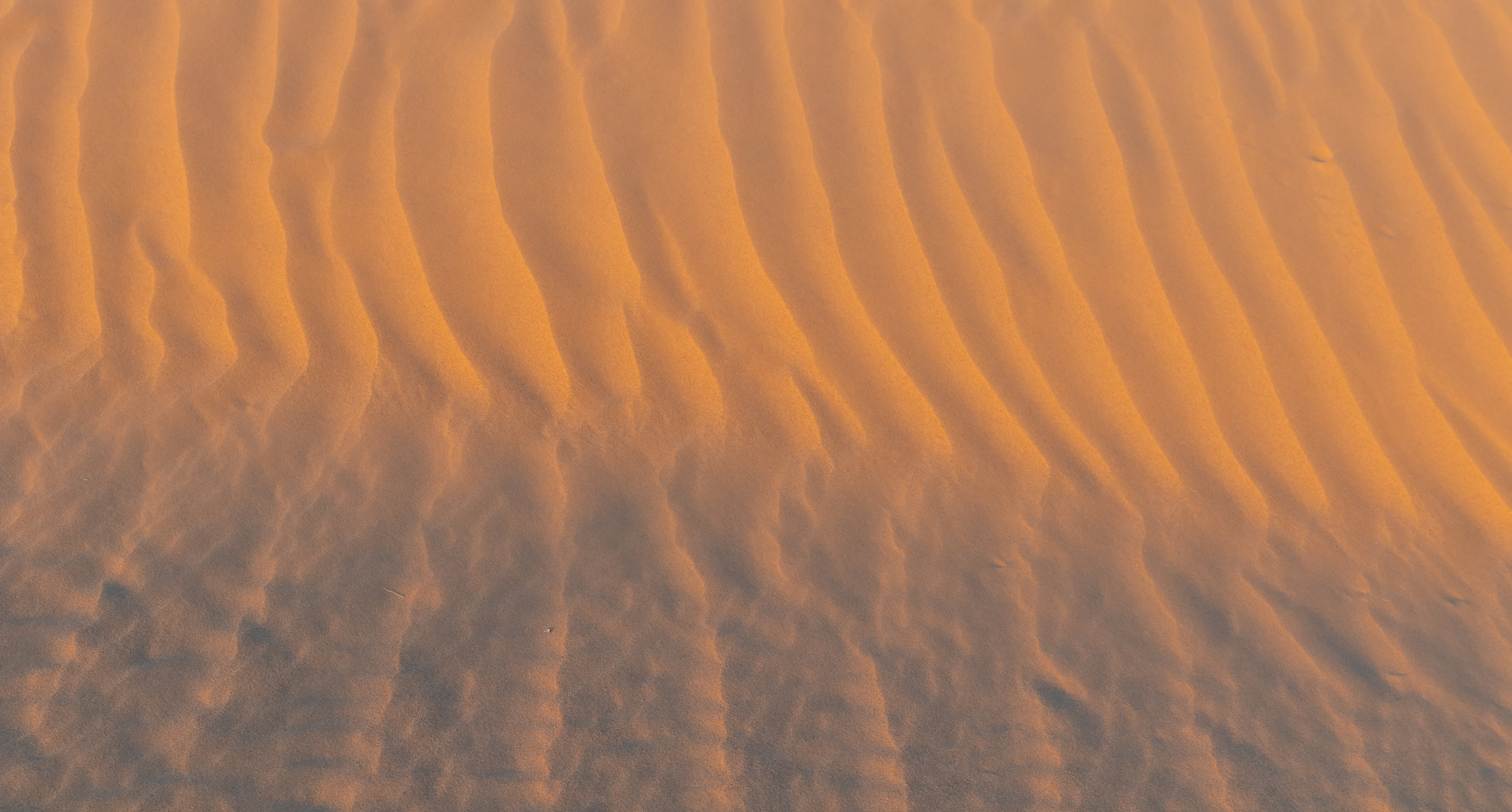 The otherwise featureless section of this dune provides little aid in determining the scale.
