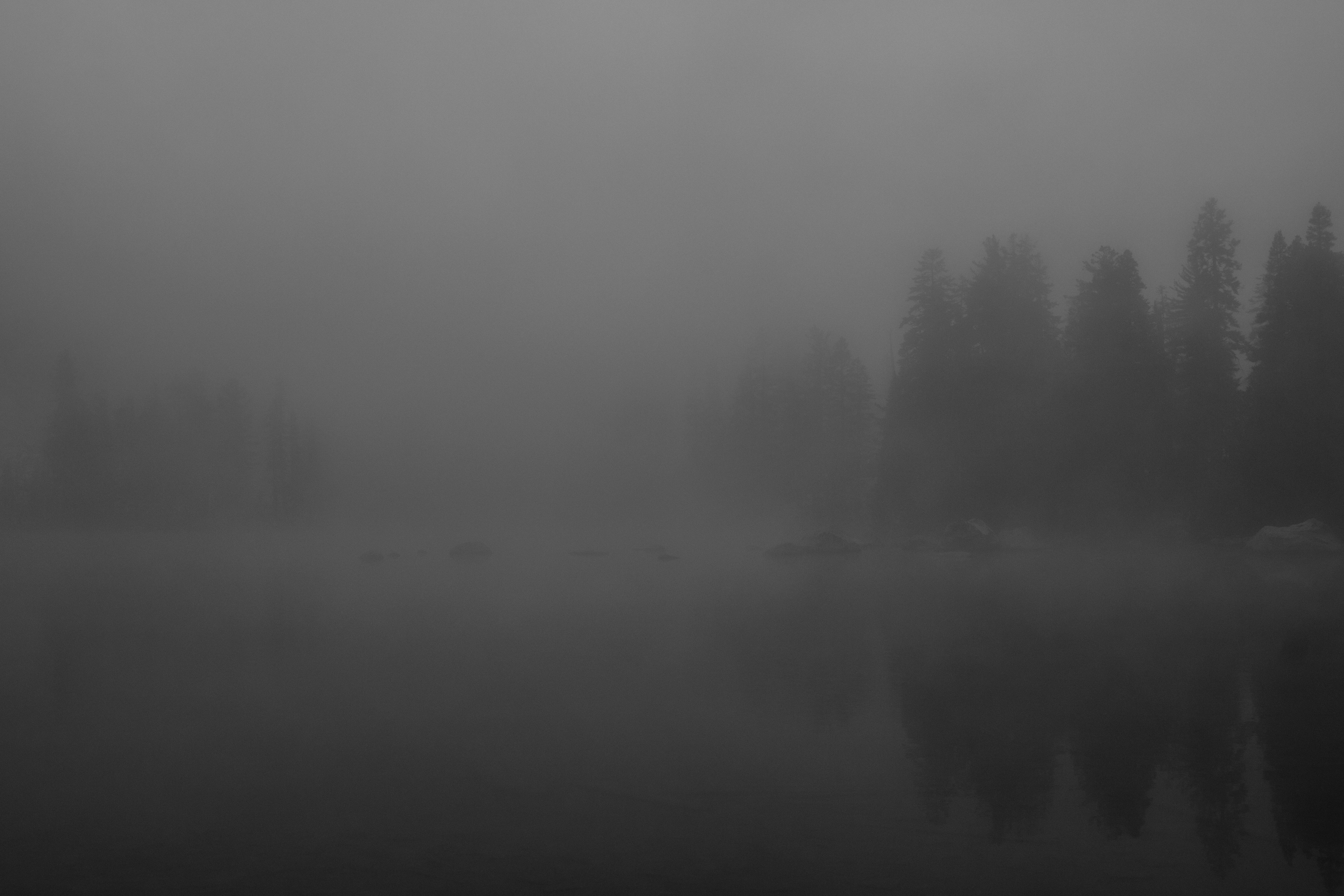 Fog rolls in after a night of lightning strikes outside of Seqouia NP.