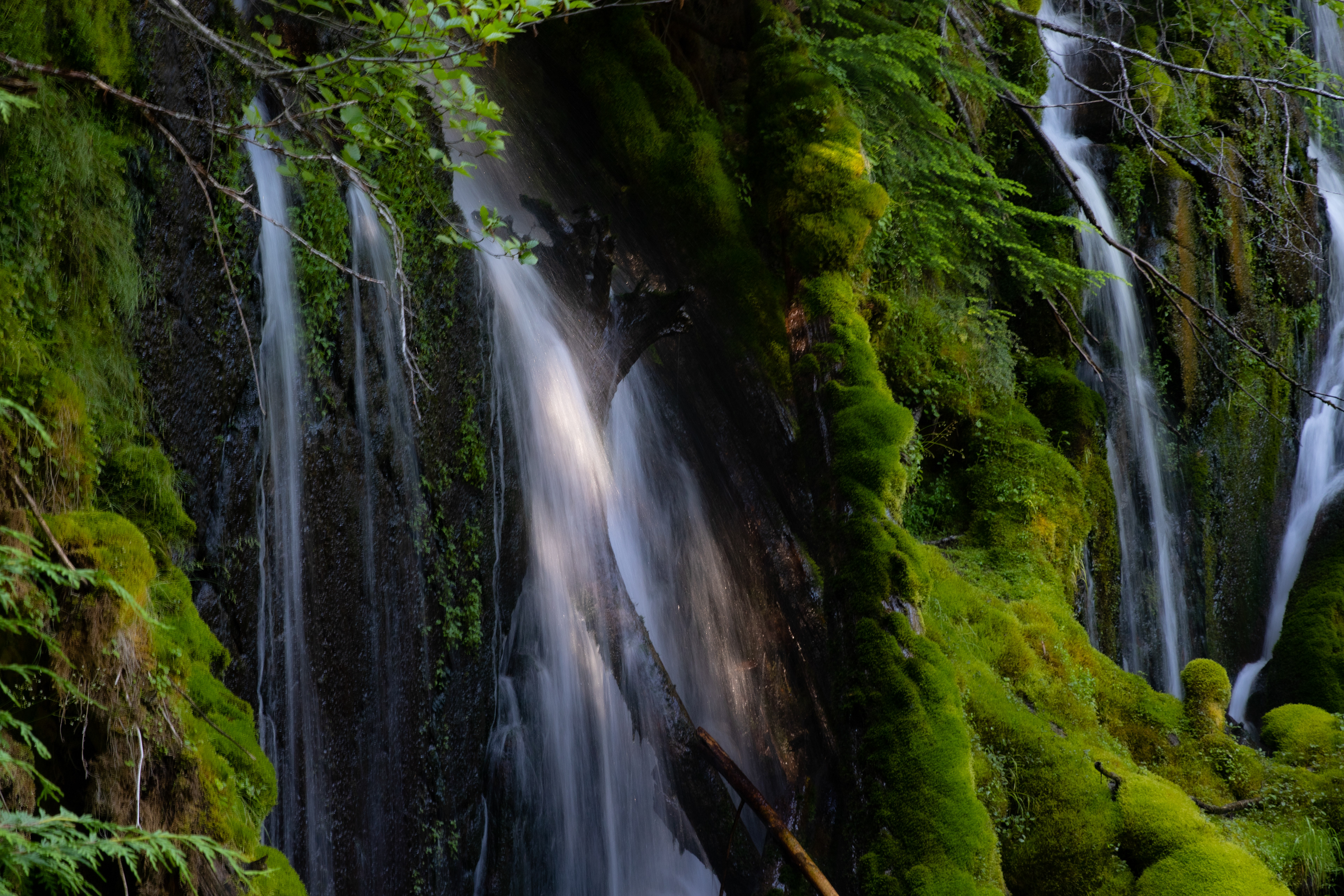 One of many waterfalls near Mount Rainier catches a small glimpse of sunlight.