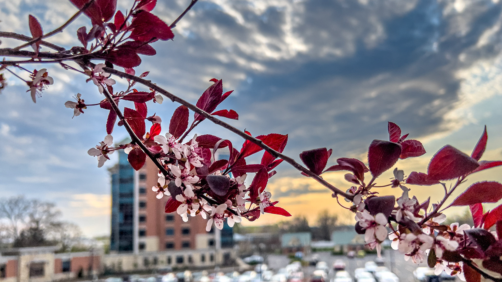 4/14/25- Ohio Living Westminster Thurber,  Columbus Oh