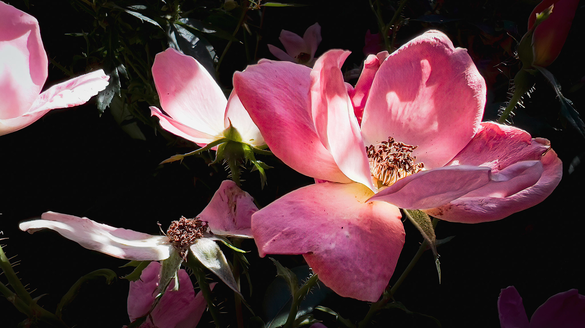 10/8/22-⁨Harrison West-⁨Columbus⁩, ⁨Ohio⁩, ⁨United States⁩