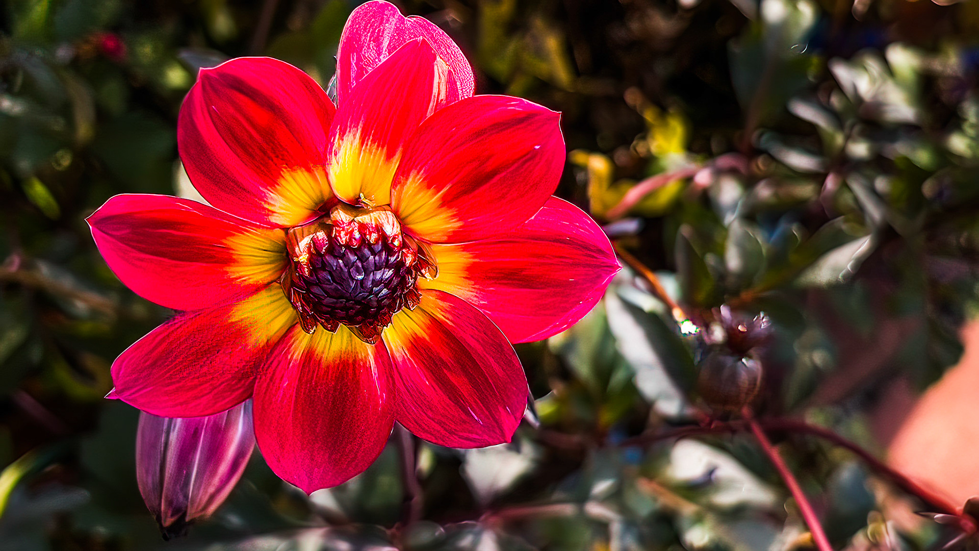 9/16/22 @ Dawes Arboretum,  Newark Oh