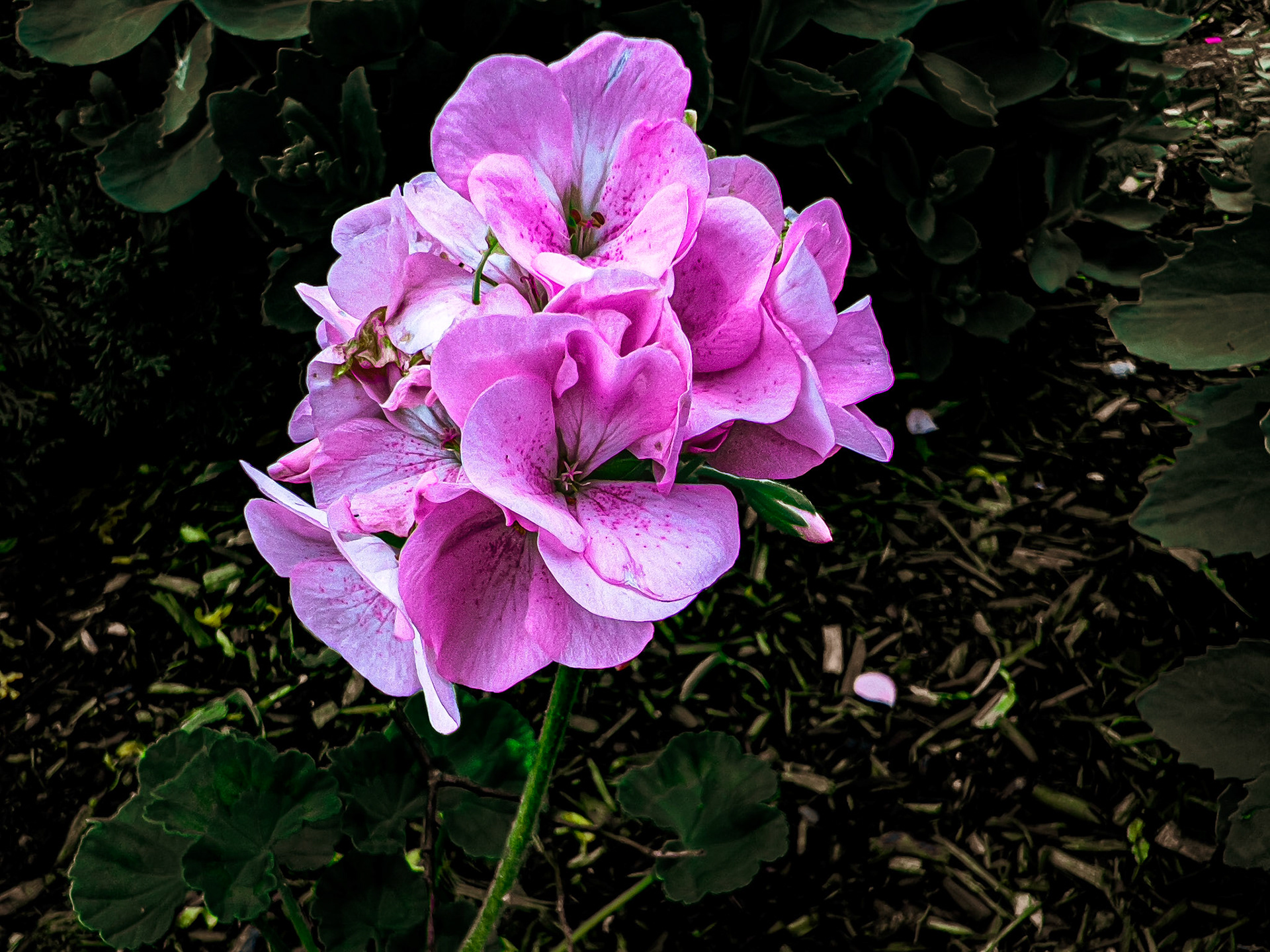 5/17/24-Harrison West-⁨Columbus⁩, ⁨Ohio⁩, ⁨United States⁩