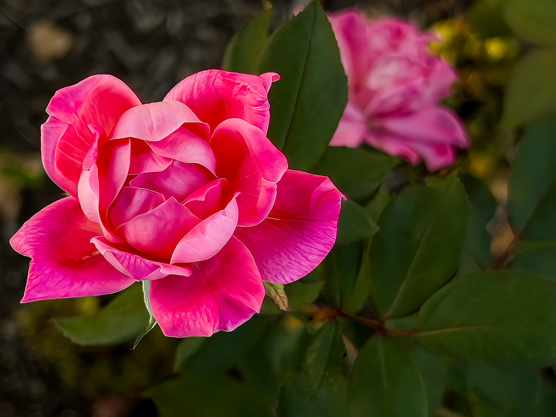 09/07/22 Harrison West