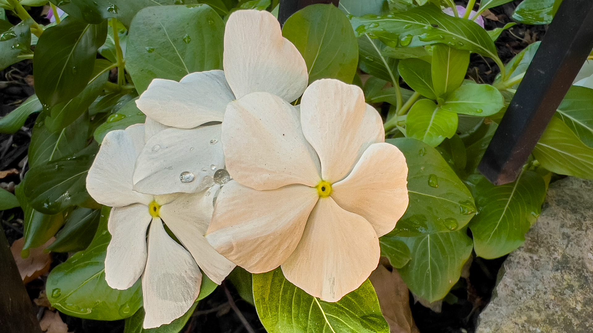 8/13/24-Harrison West-⁨Columbus⁩, ⁨Ohio⁩, ⁨United States⁩