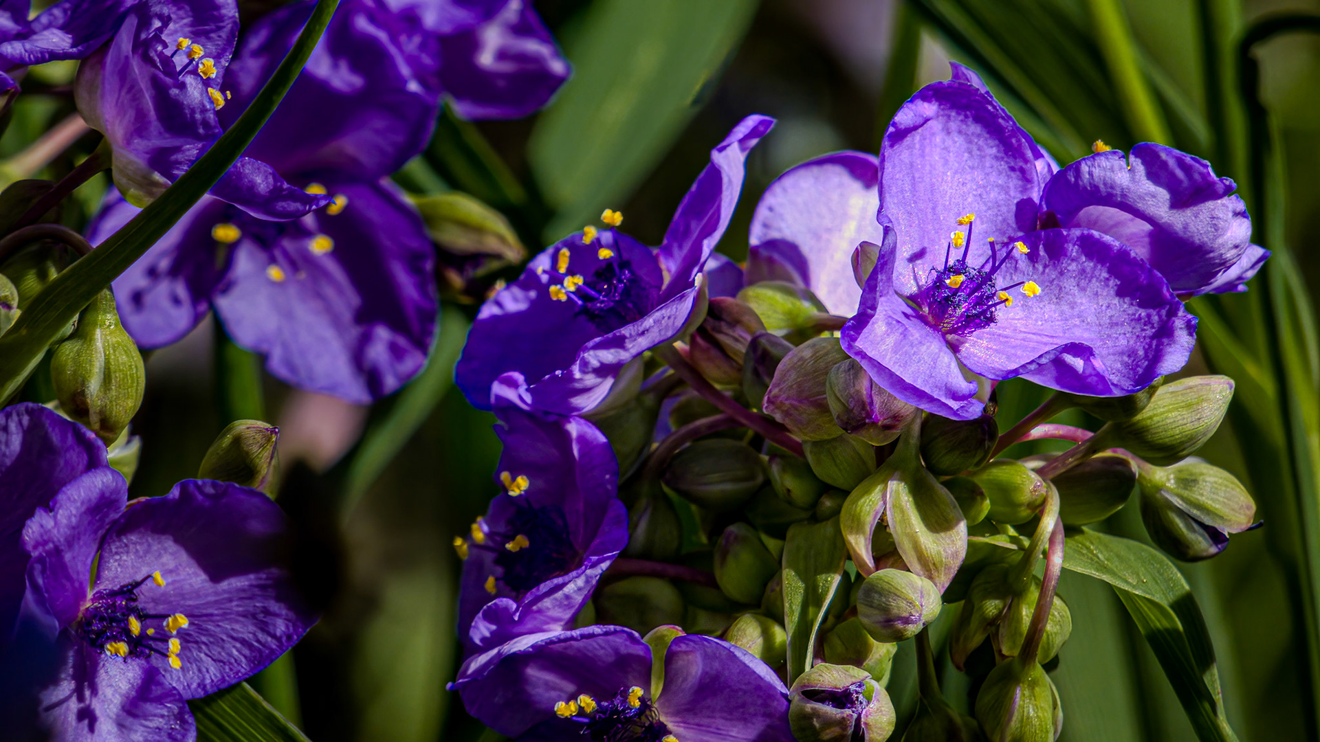 6/3/22-⁨Scioto Audubon Metro Park⁩, ⁨Columbus⁩, ⁨Ohio⁩, ⁨United States⁩