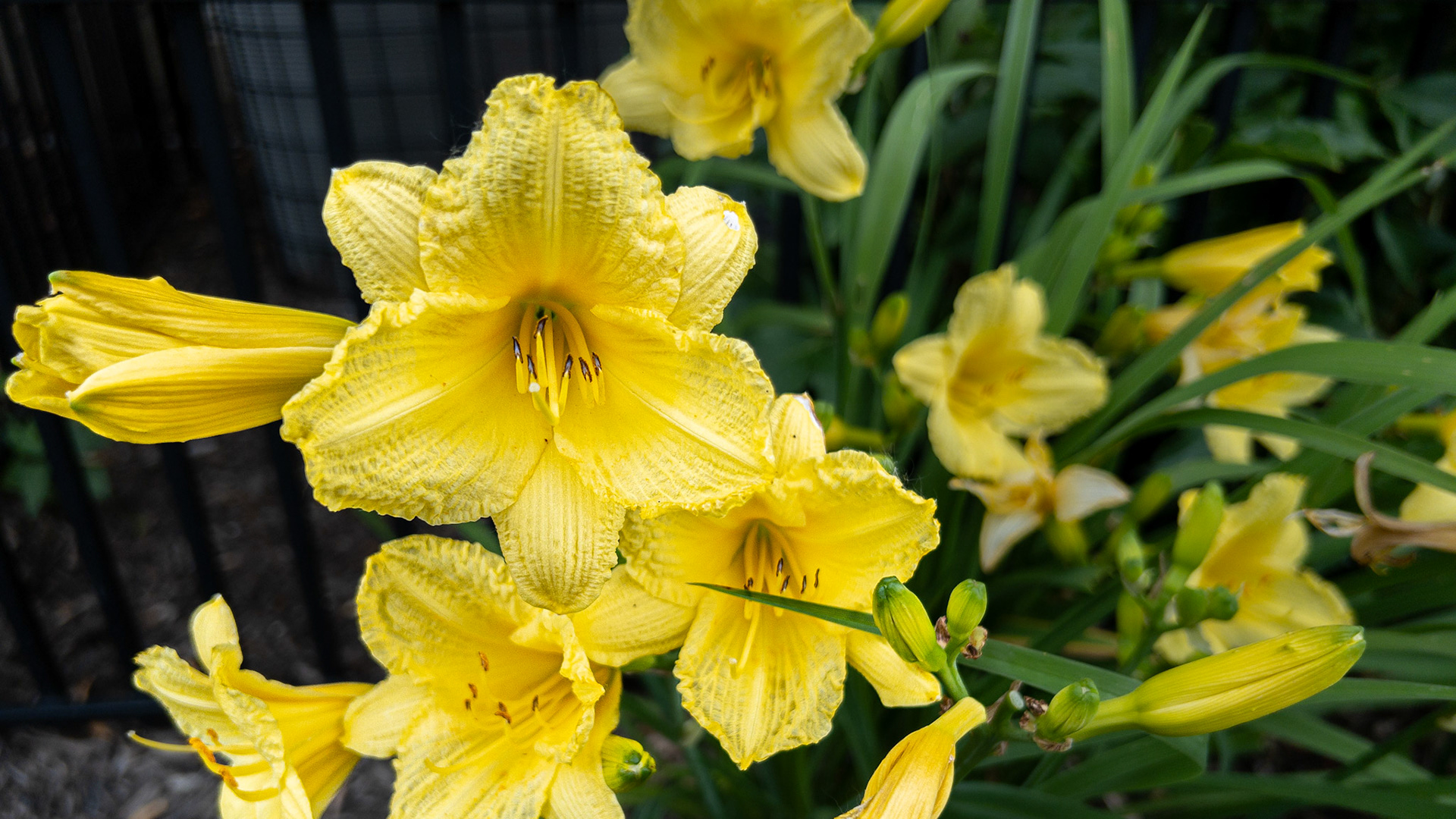 5/28/24 @ Harrison West,  Columbus Ohio