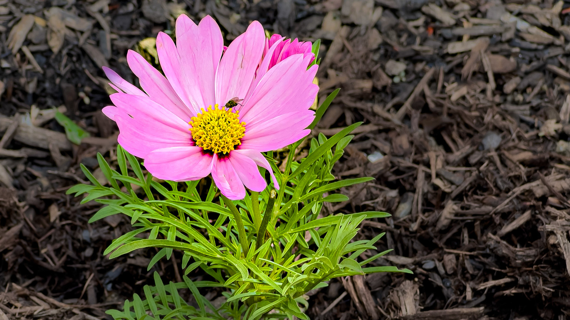 5/23/25-⁨Logan⁩, ⁨Ohio⁩, ⁨United States⁩