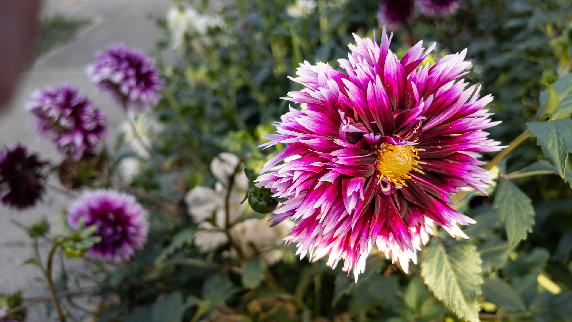 9/8/23-Harrison West-⁨Columbus⁩, ⁨Ohio⁩, ⁨United States⁩