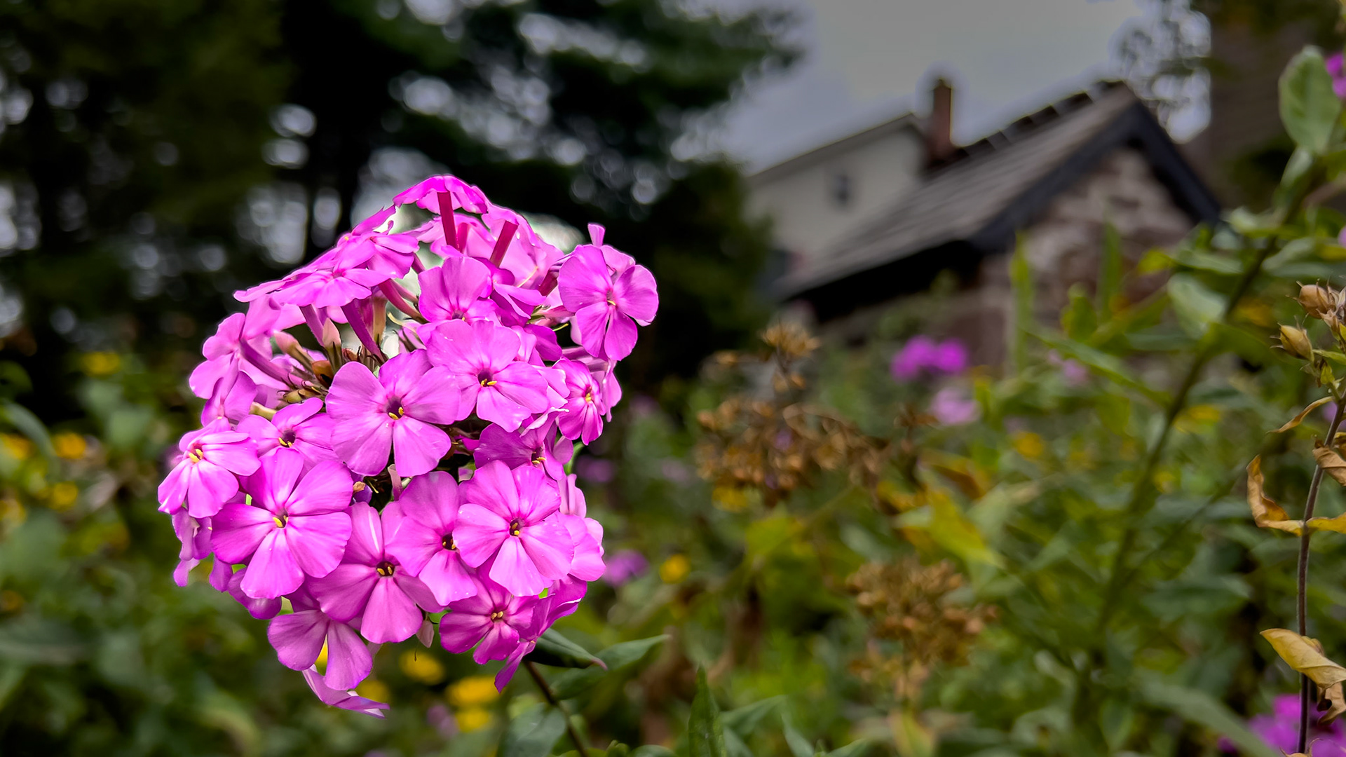 8/31/24 @ Mount Royal, Dover Pa