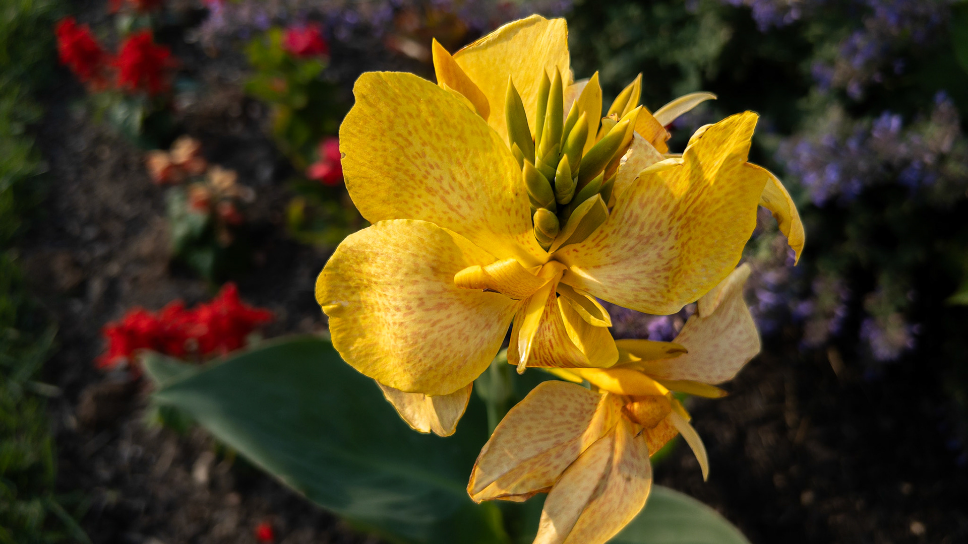 6/8/23-Harrison West, Columbus