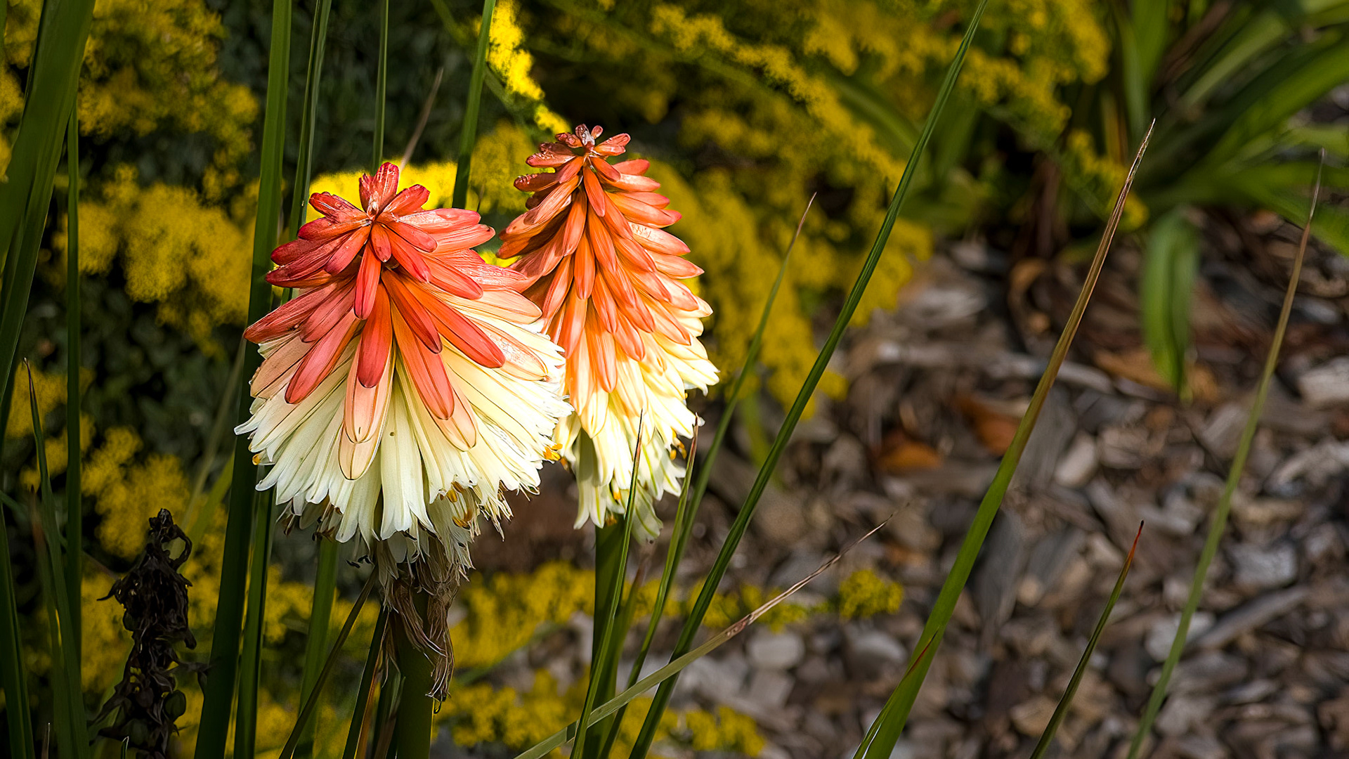 9/16/22 @ Dawes Arboretum,  Newark Oh