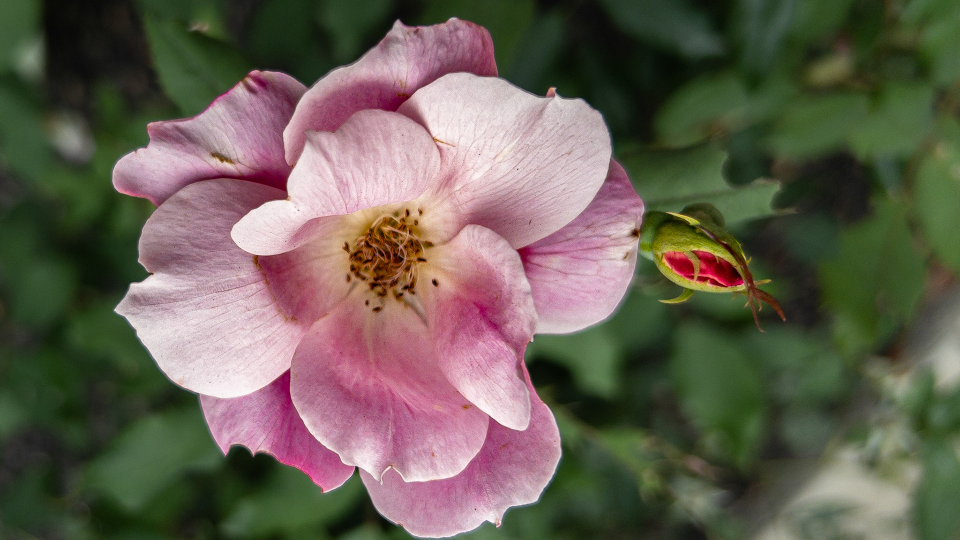 9/6/23-Harrison West-⁨Columbus⁩, ⁨Ohio⁩, ⁨United States⁩