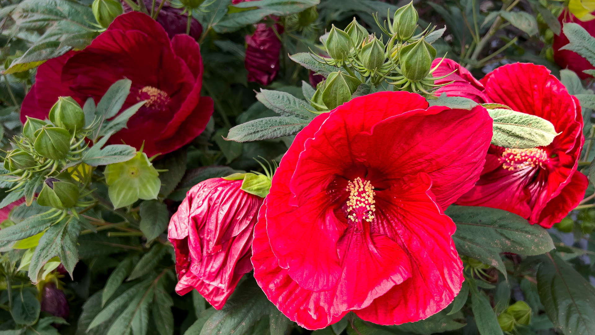 20250720-Goodale Park Sells Mansion