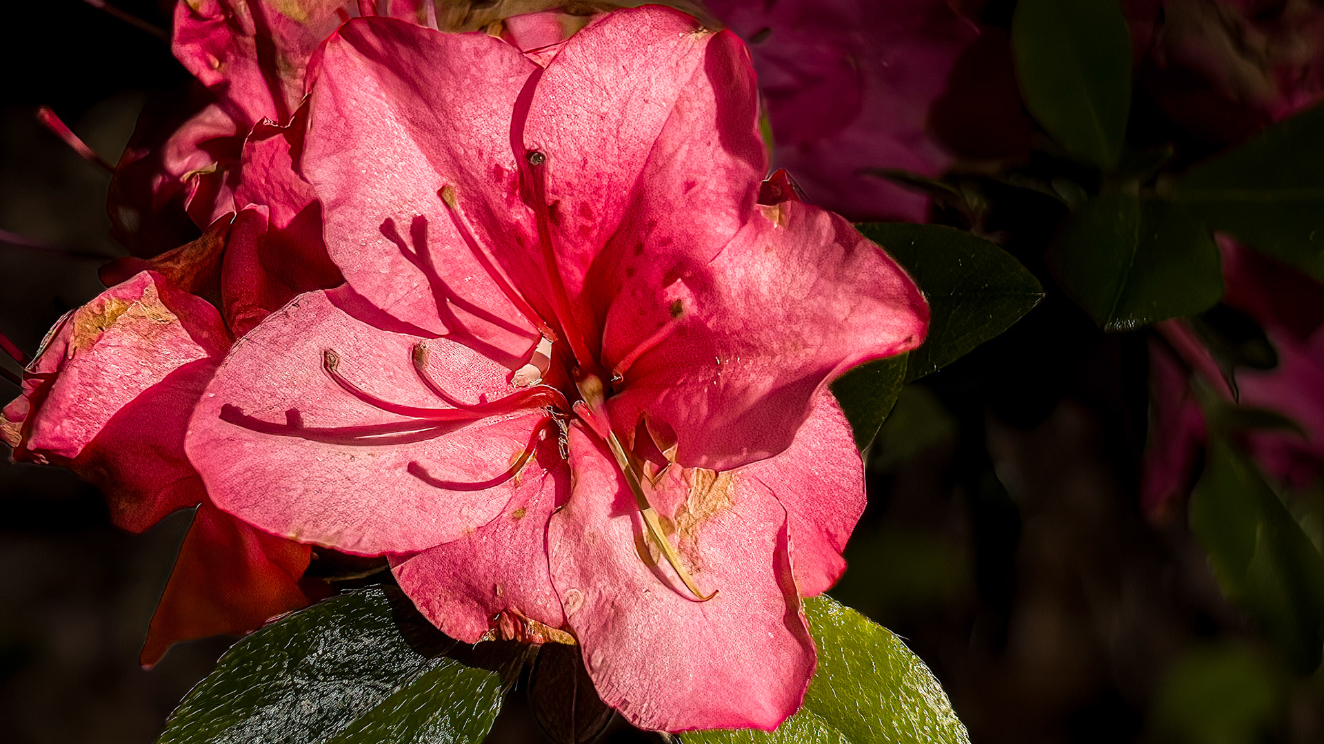 5/17/22-⁨Dover⁩, ⁨Susquehanna Valley⁩, ⁨United States⁩