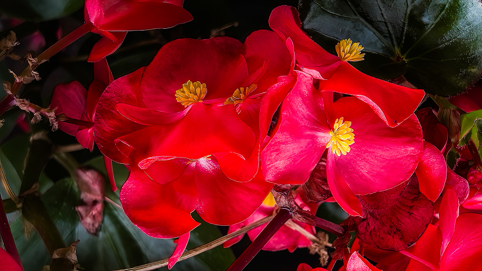 9/16/22-⁨Dawes Arboretum-Heath⁩, ⁨Ohio⁩, ⁨United States⁩